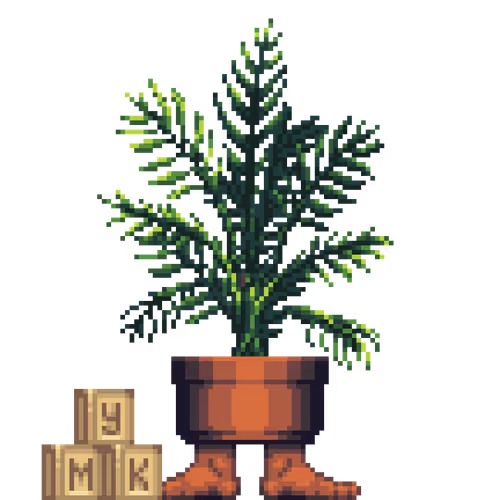 Areca Palm in Feet pot with Toy Cubes