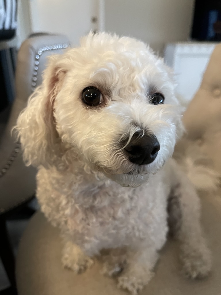 Snowie