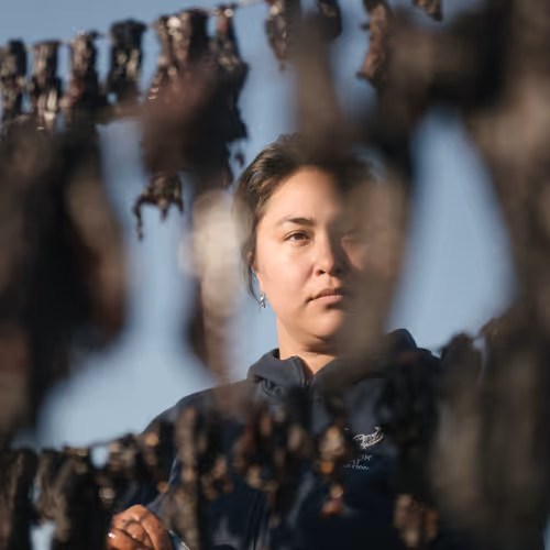 Rumors of Arctic Belonging - Portrait of Cathy Peacock, drying tuutuu