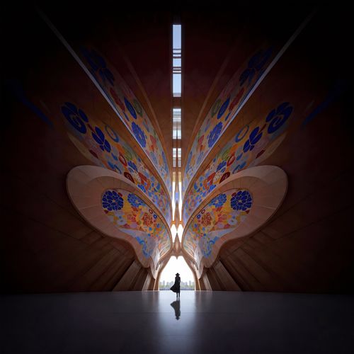 butterflyson Patron Edition