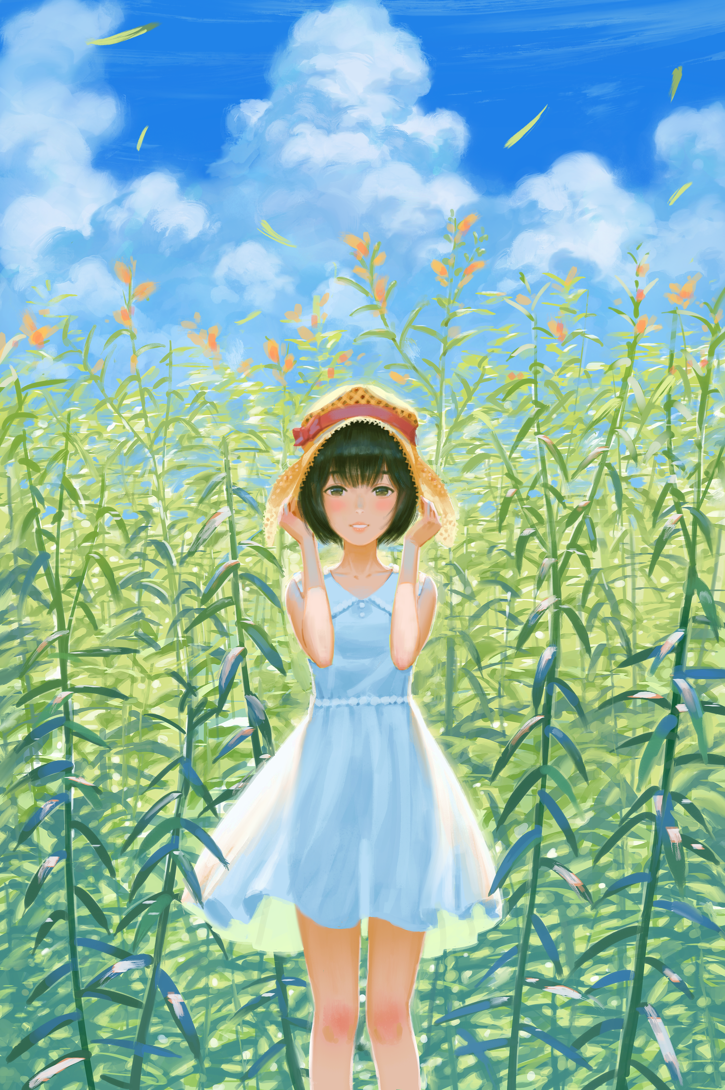 Memory of summer