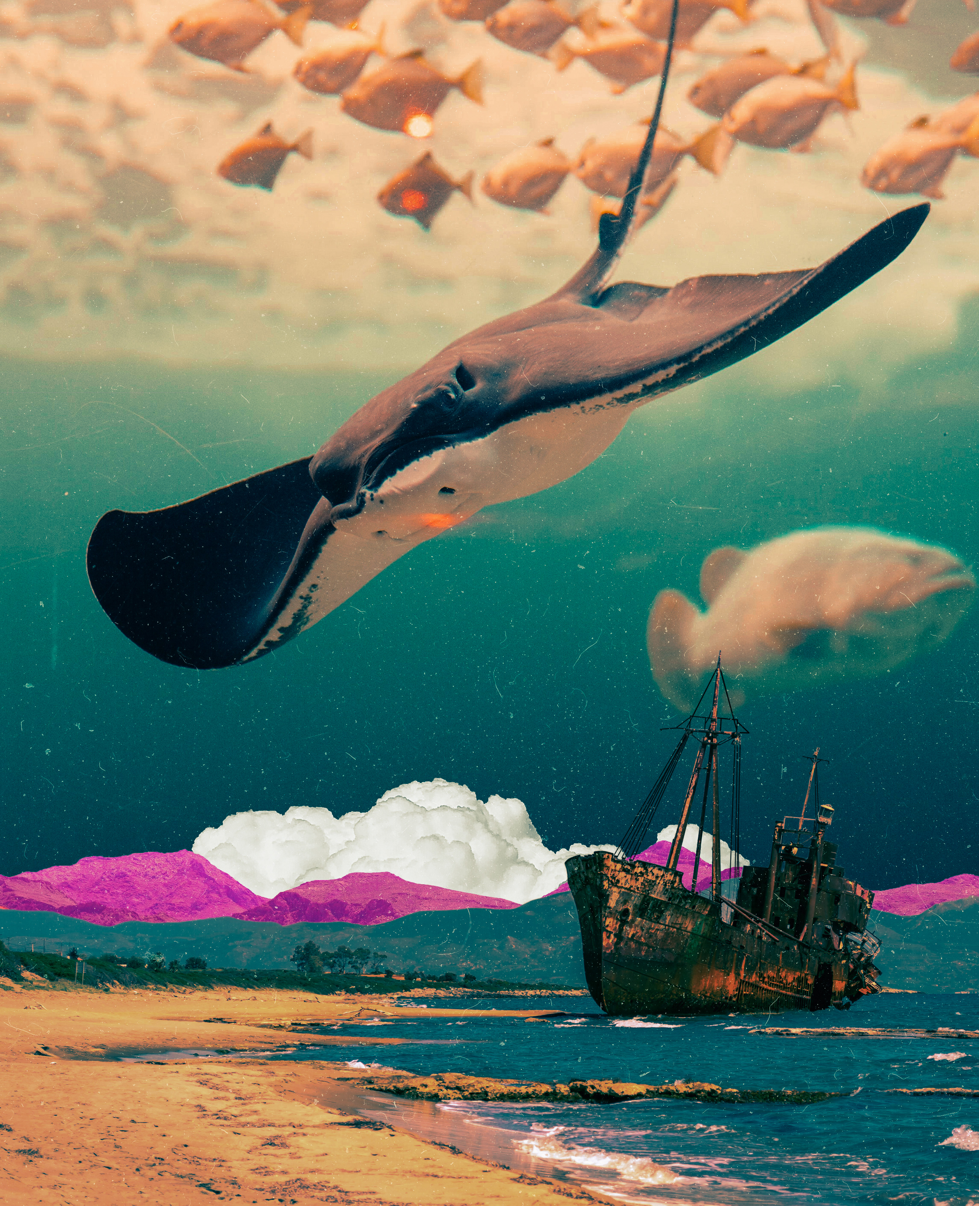 The Swell #60