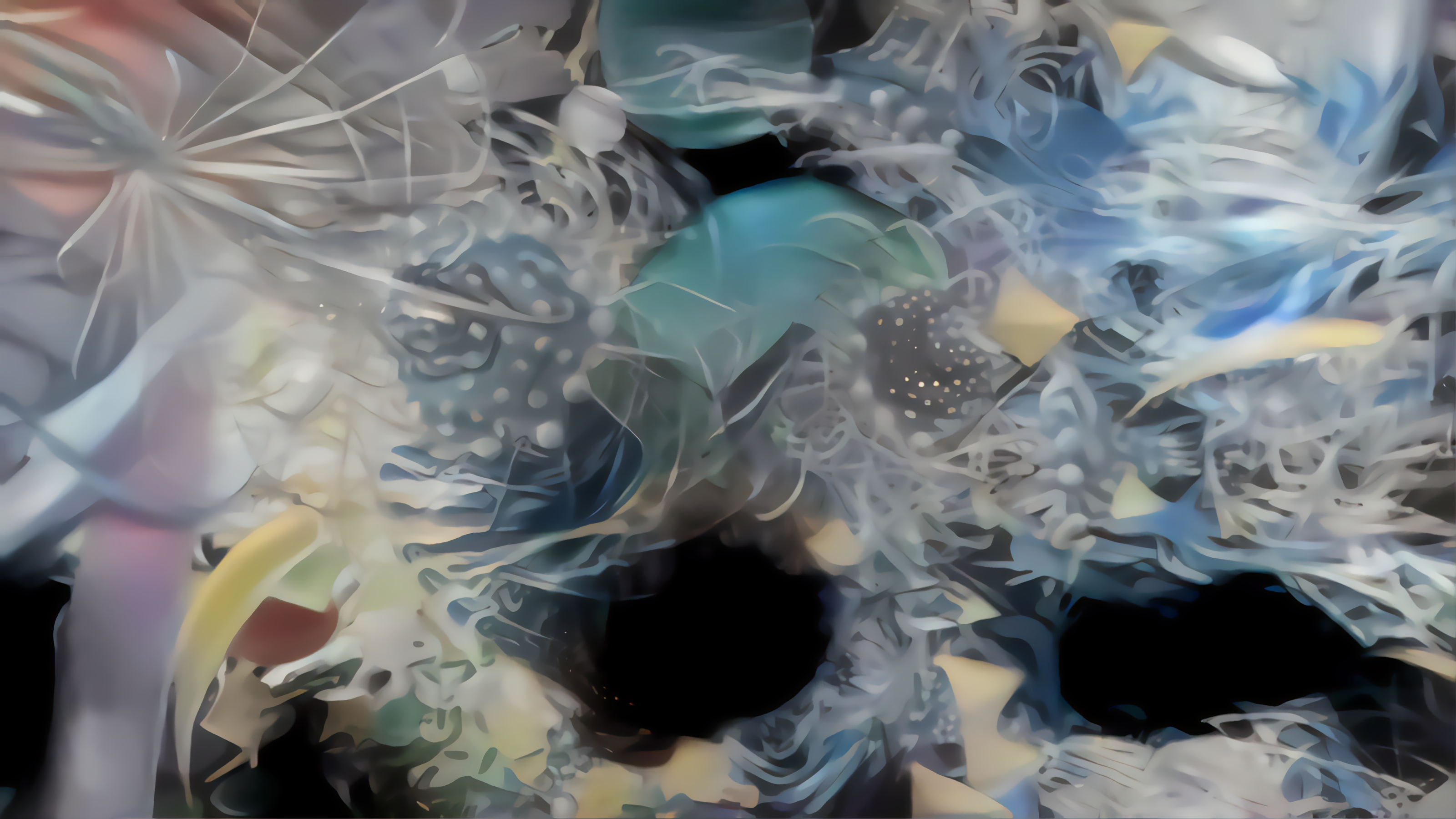 Multiverse 