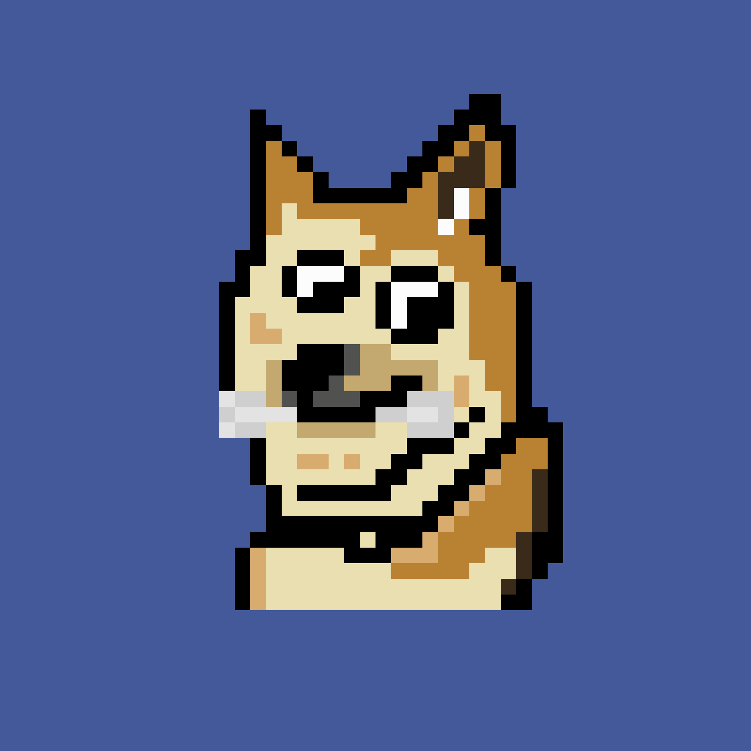 LazyDoges #42