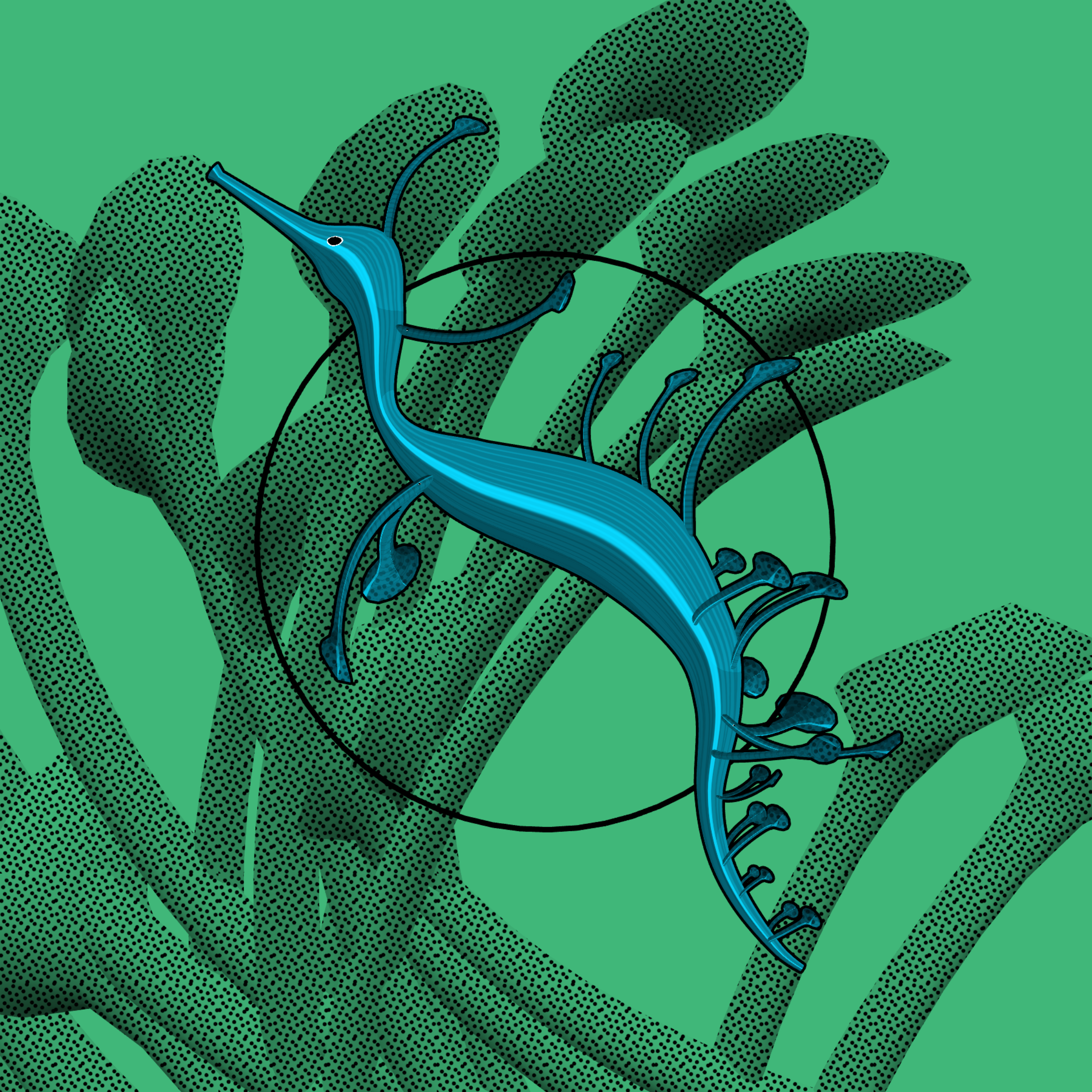 Seadragons #269