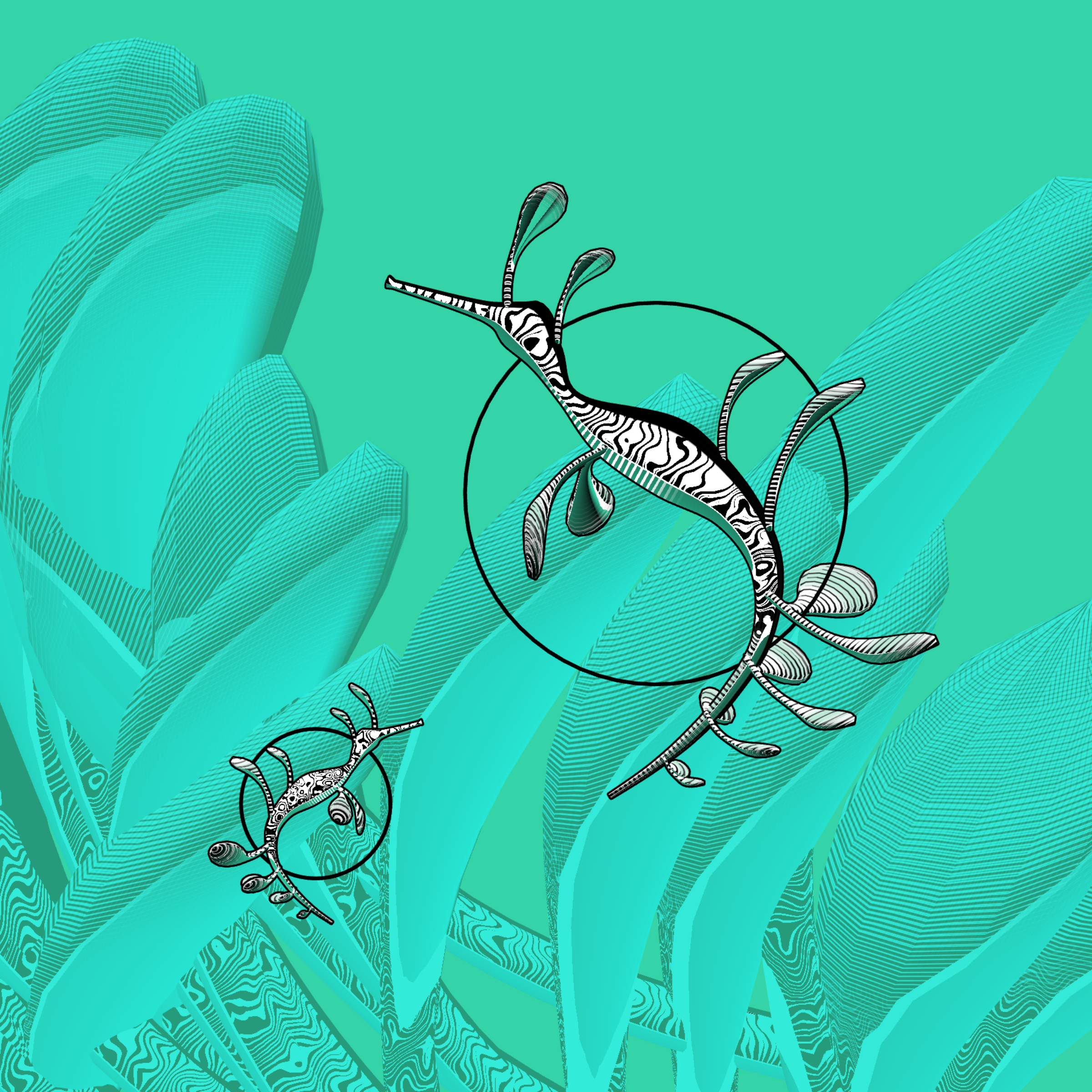Seadragons #124