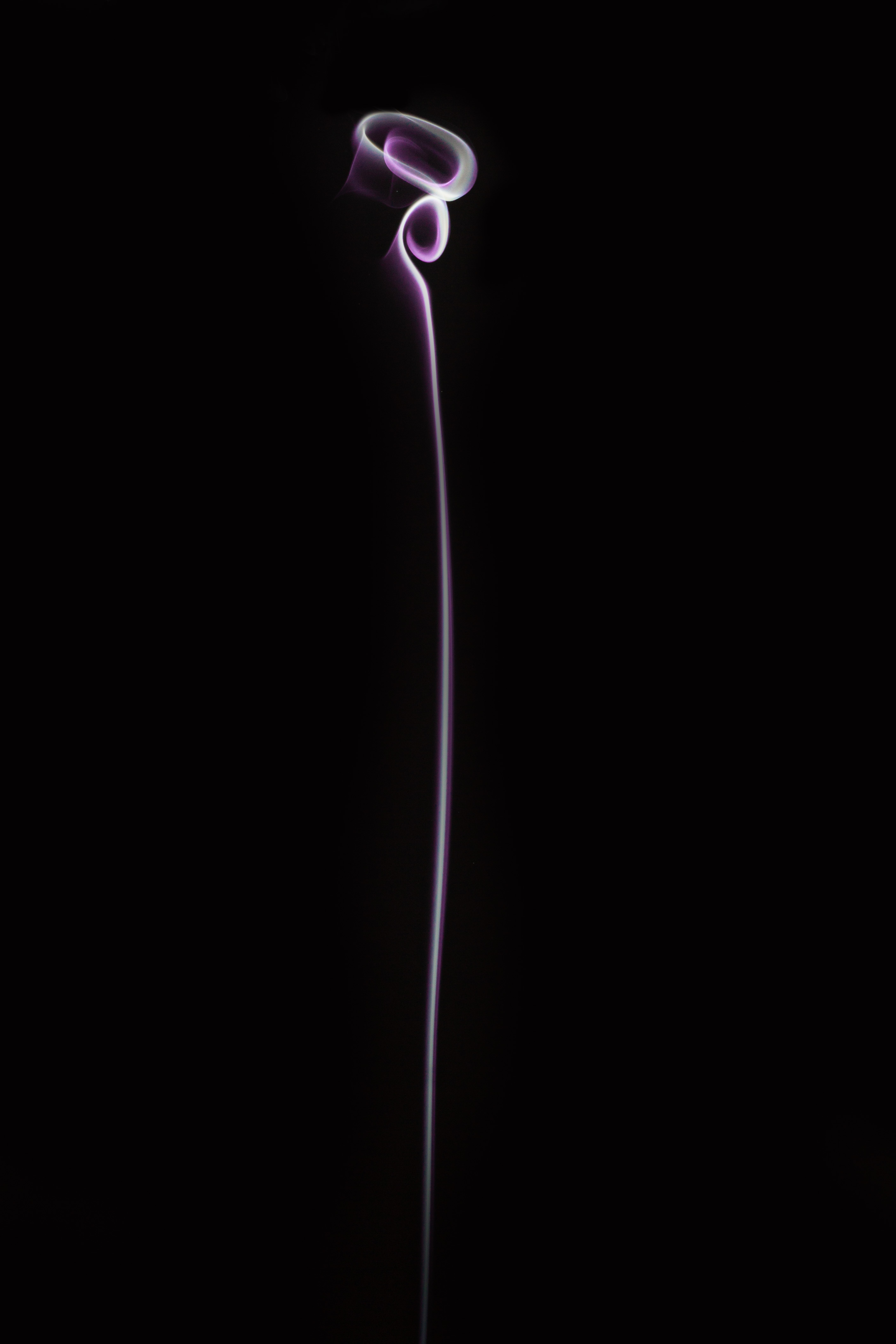 LASSO