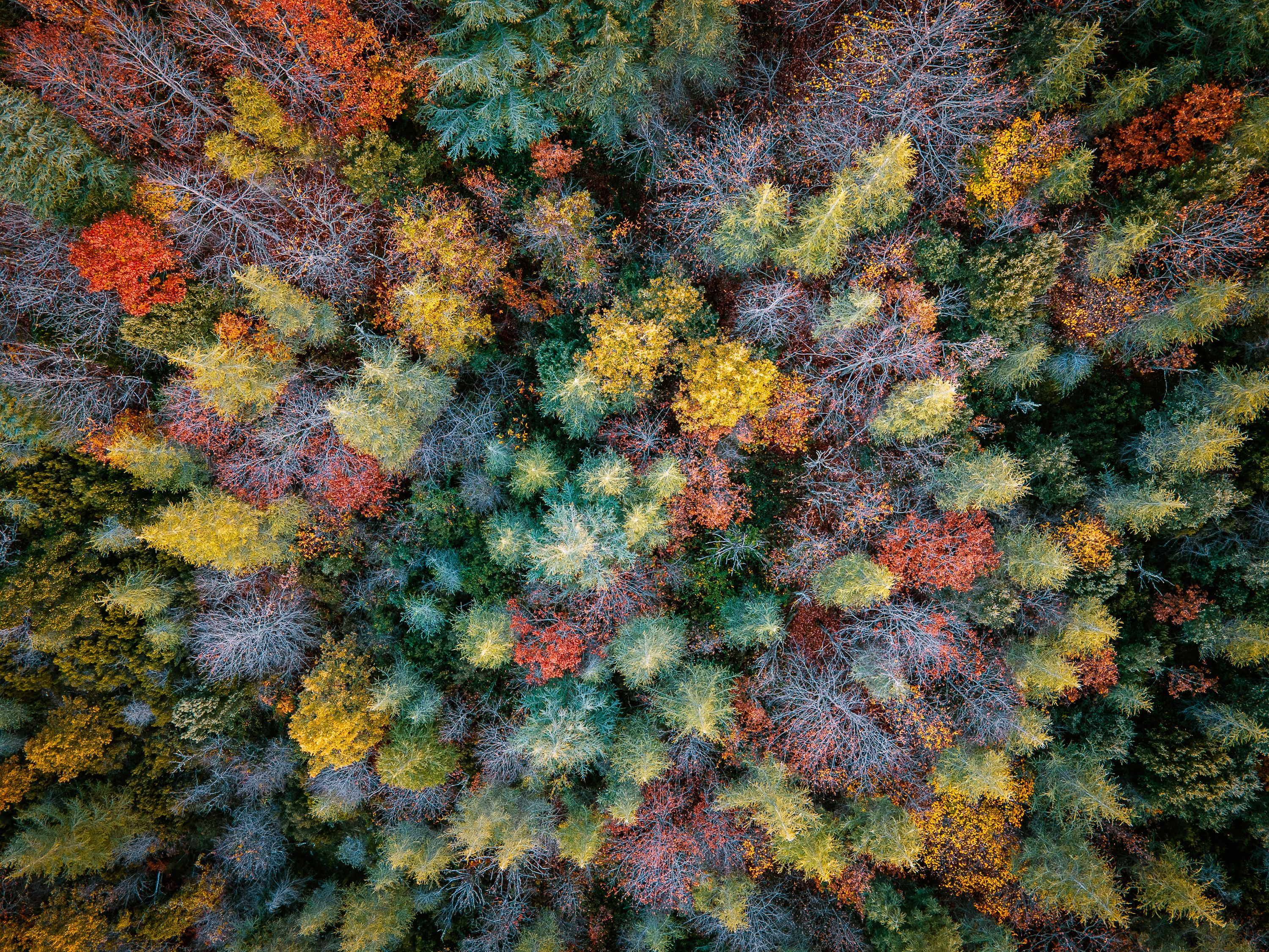 Colors of Sardinia #8