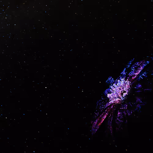 Flower Galaxy