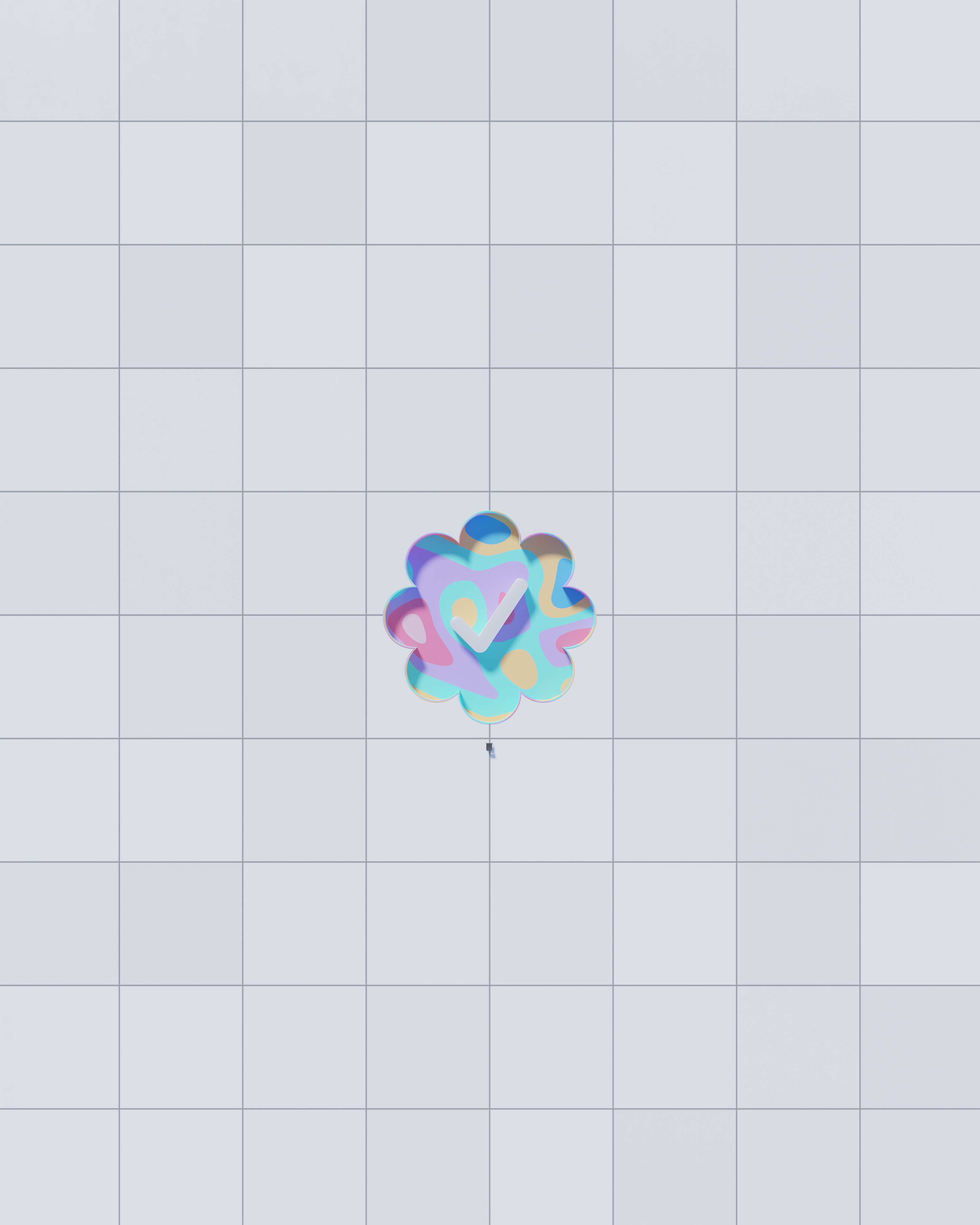 Checks - Spaces Edition