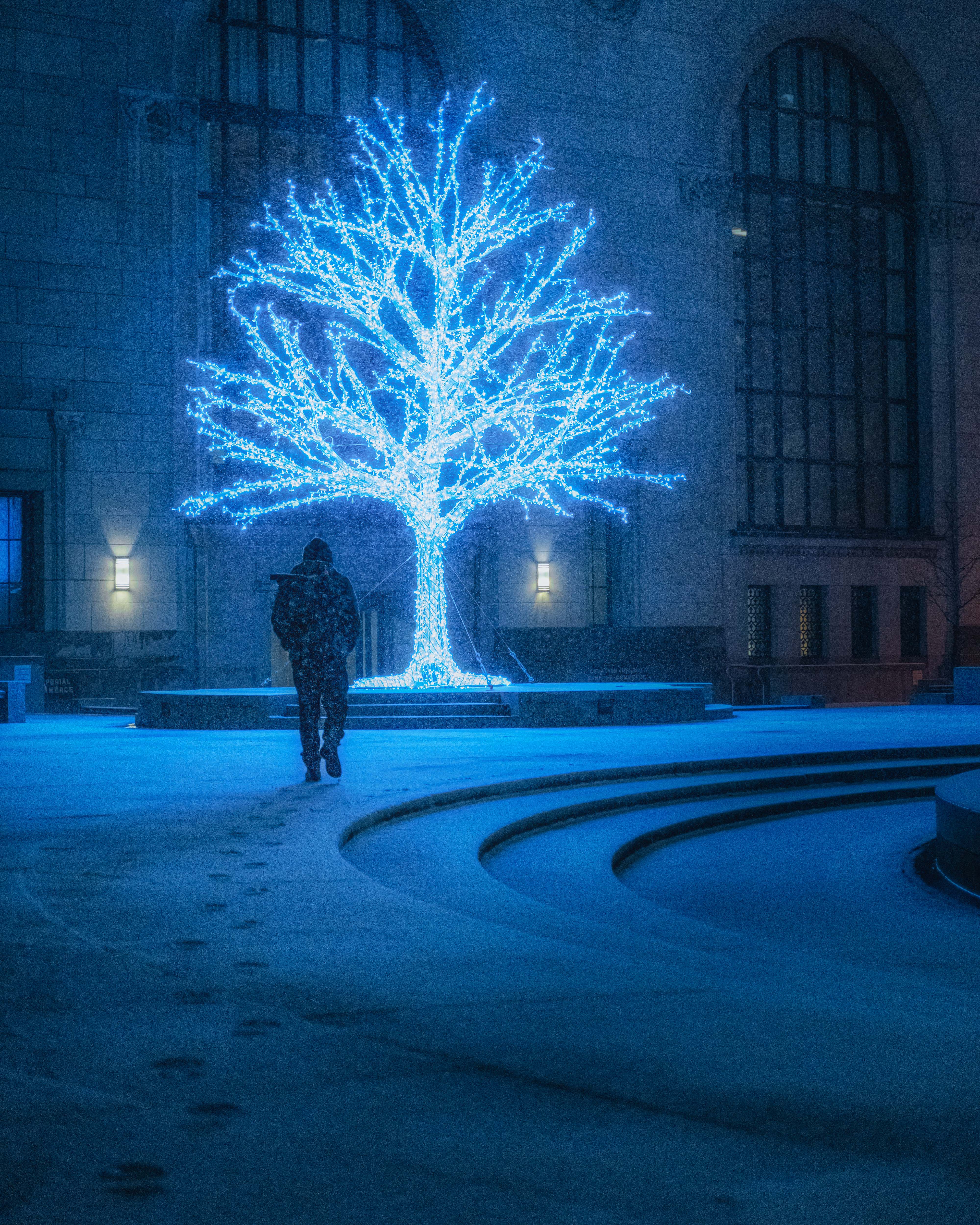 Dark Freeze #9-Lit Up