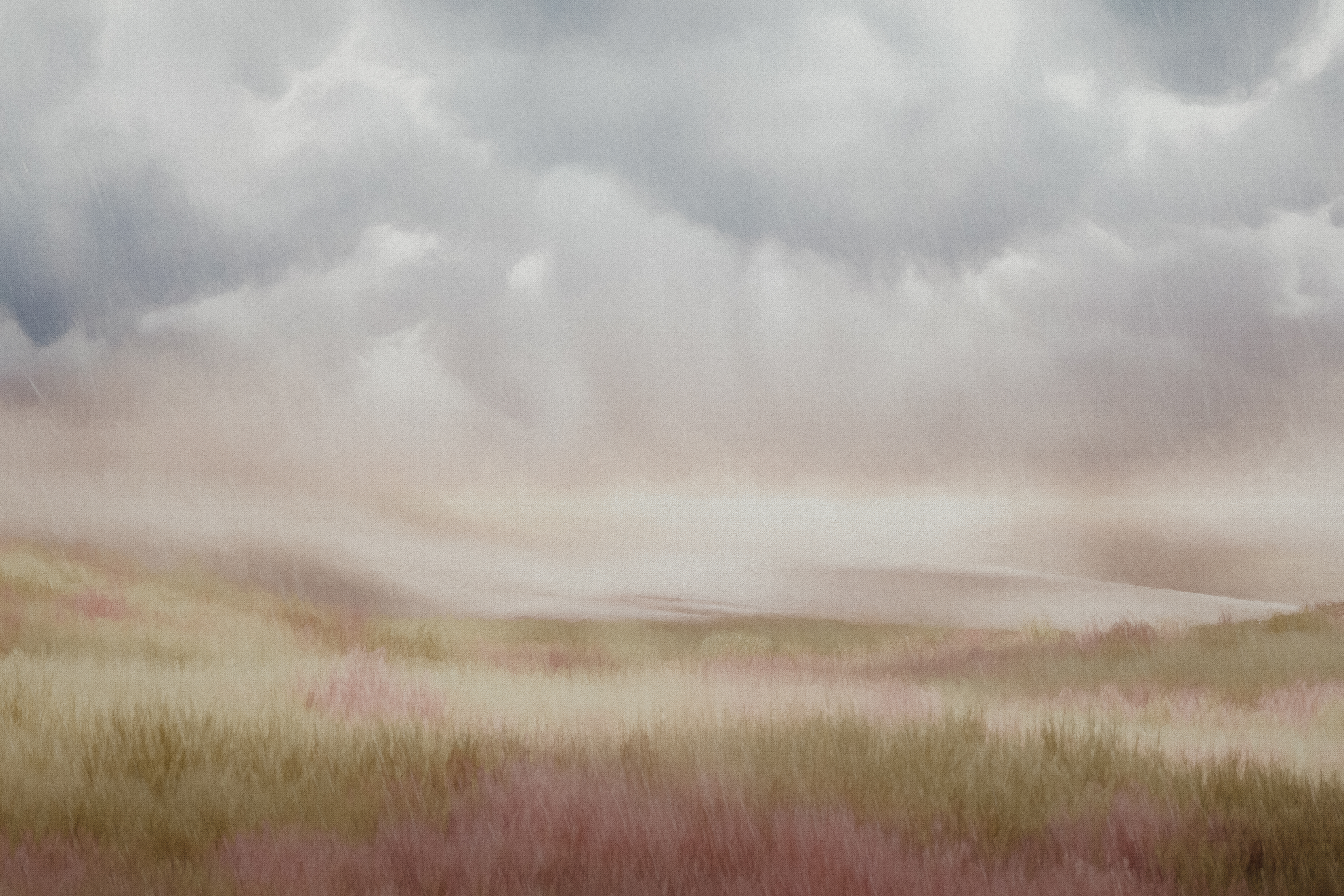 summer rain