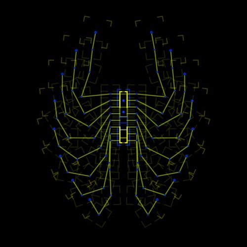 Myodon Douquerensis