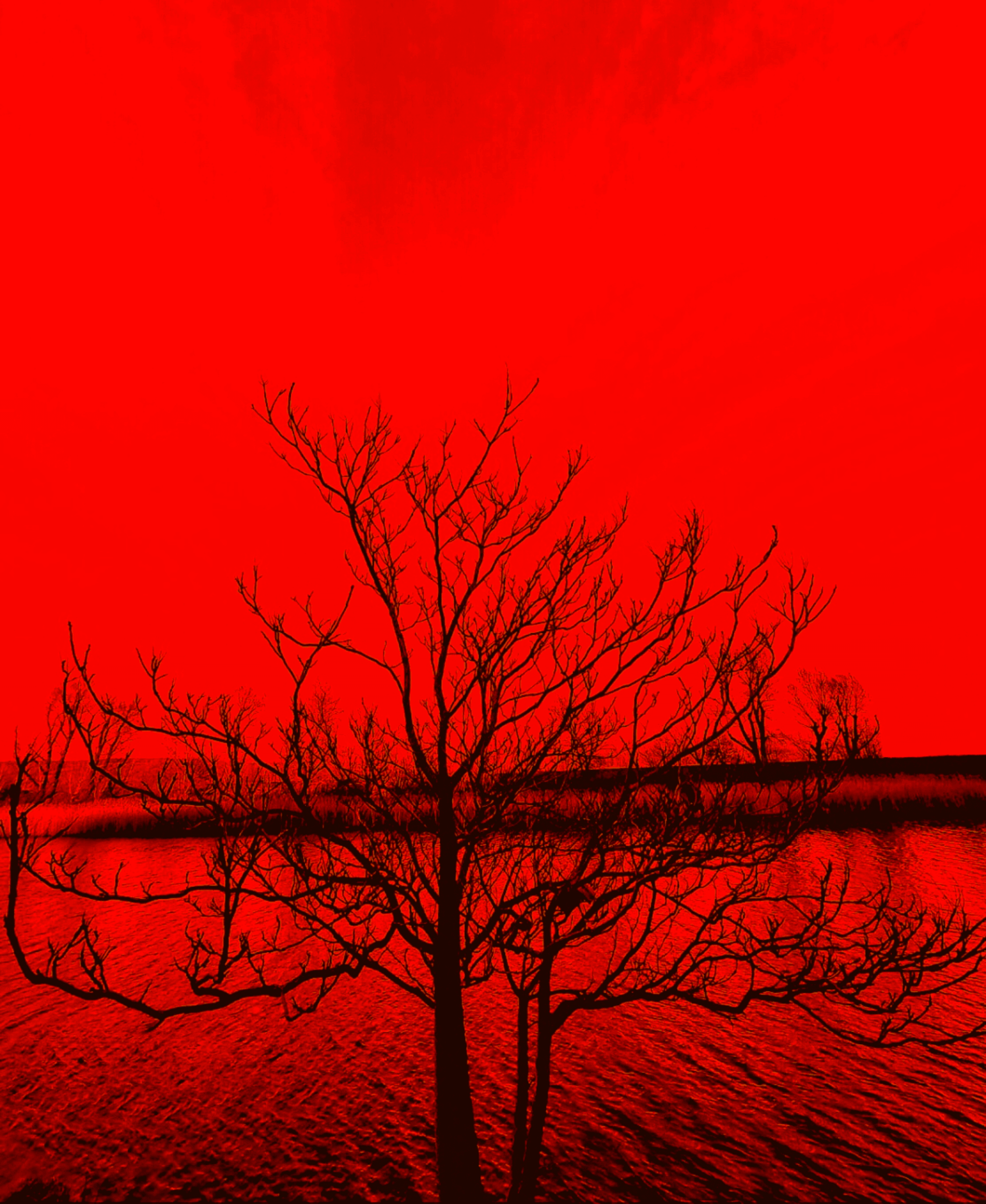 Lurid