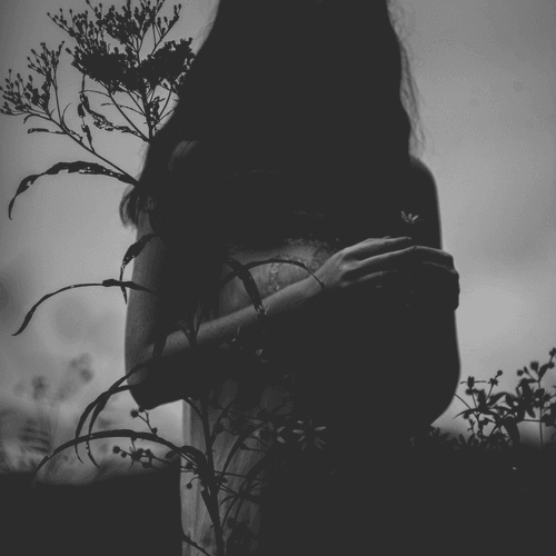 Photo #30