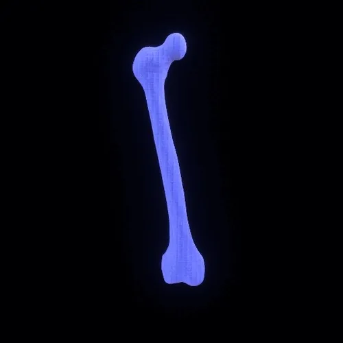 Party Bone #3614