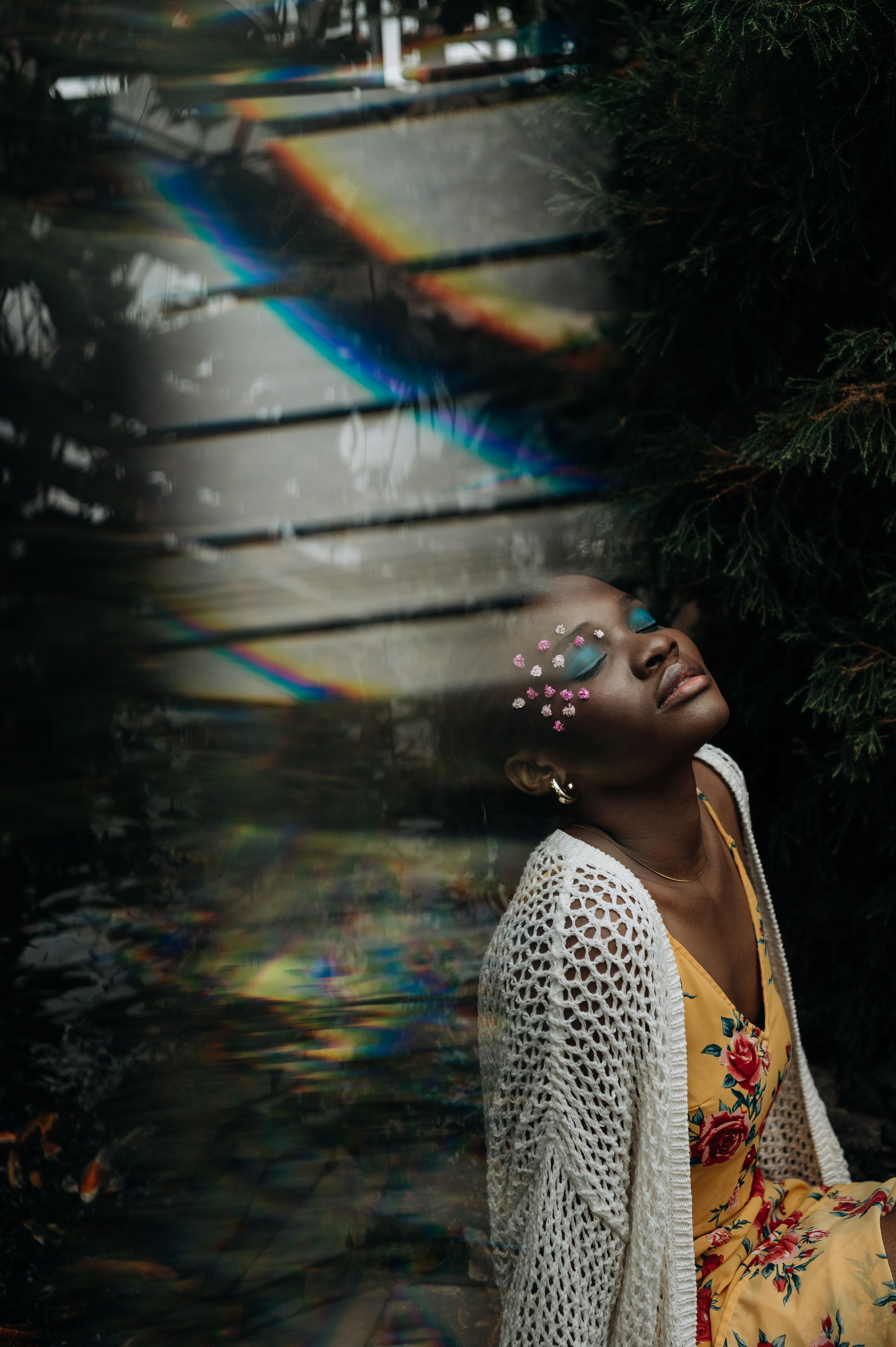 Shine