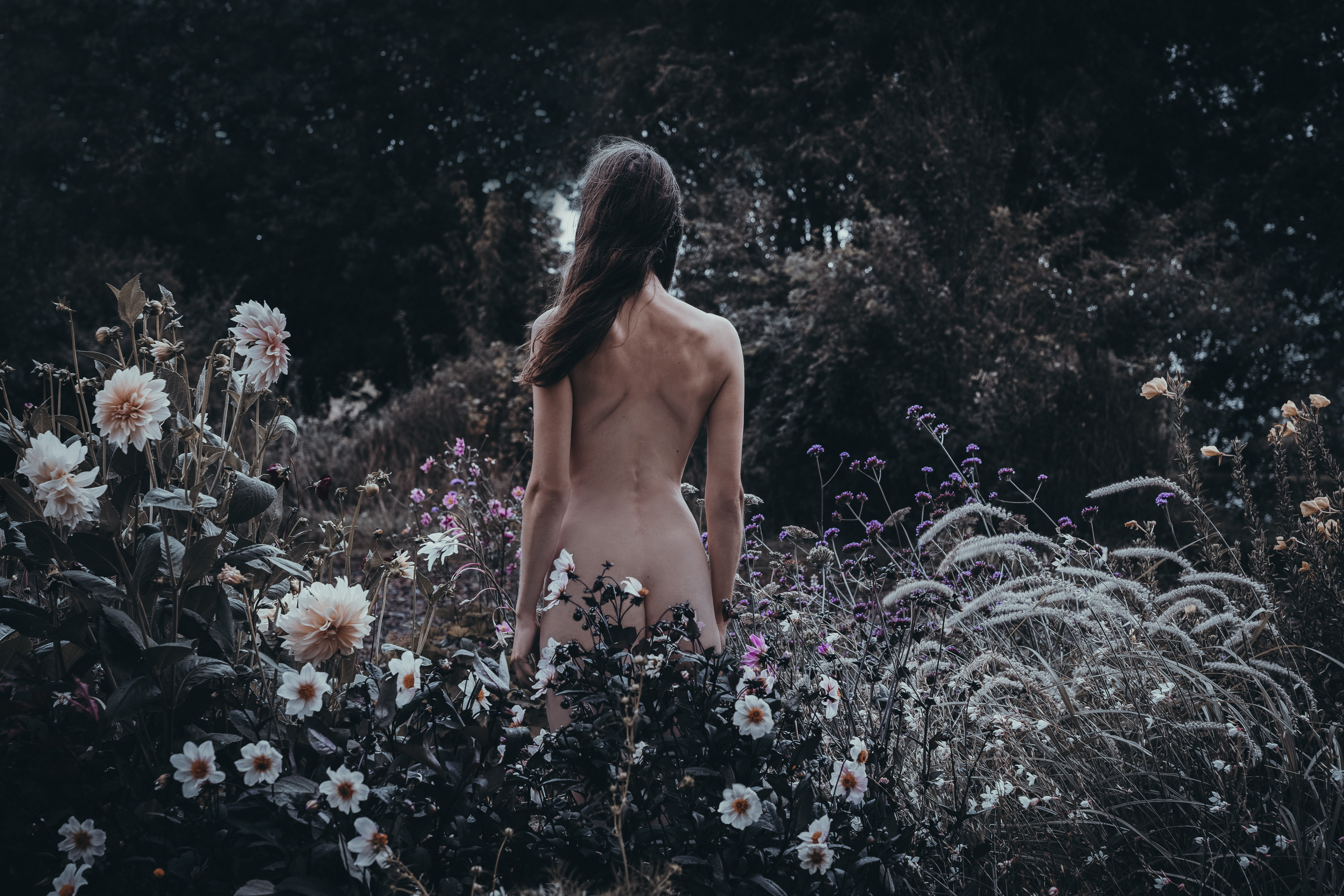Garden of Eden I