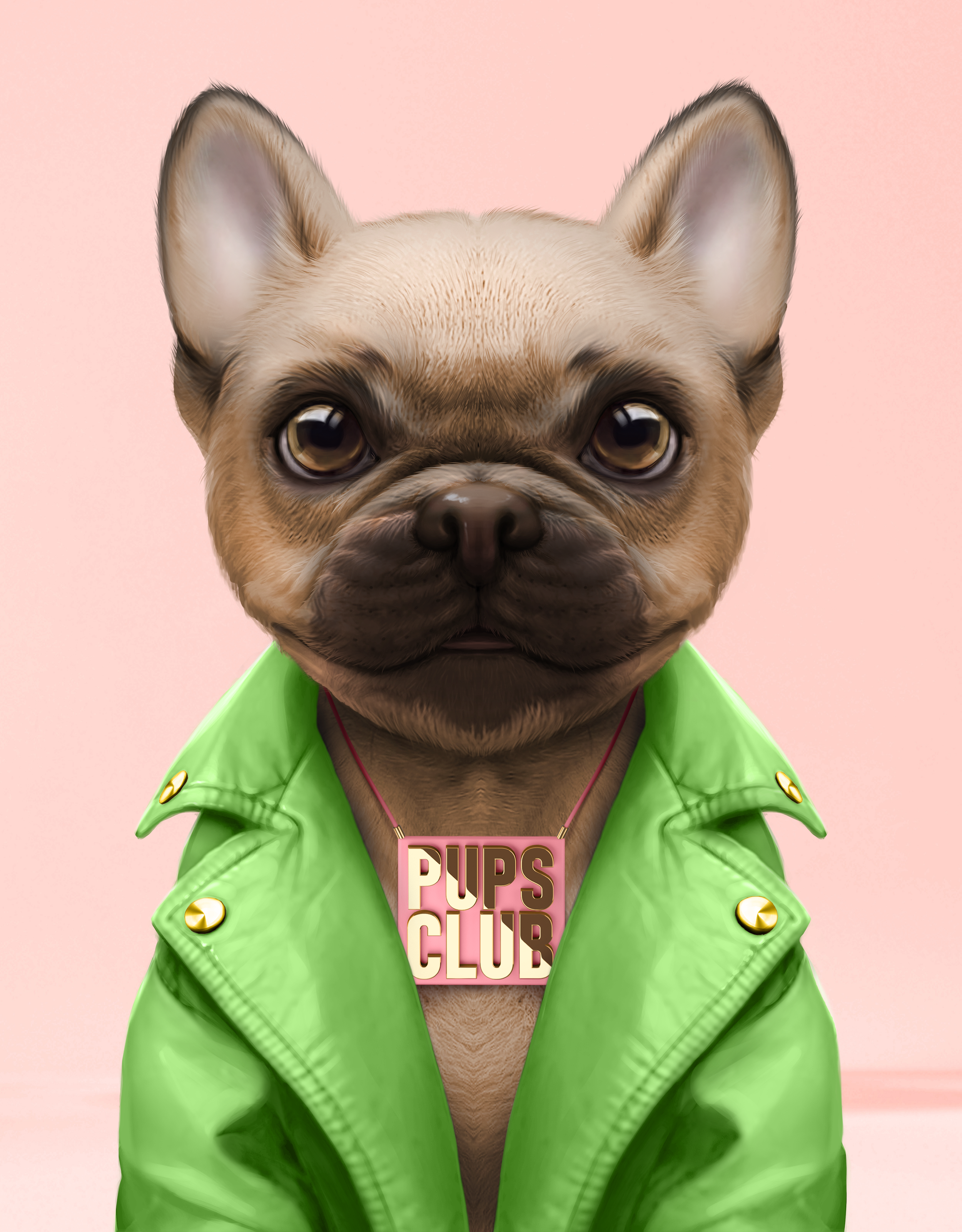 Pup #8662