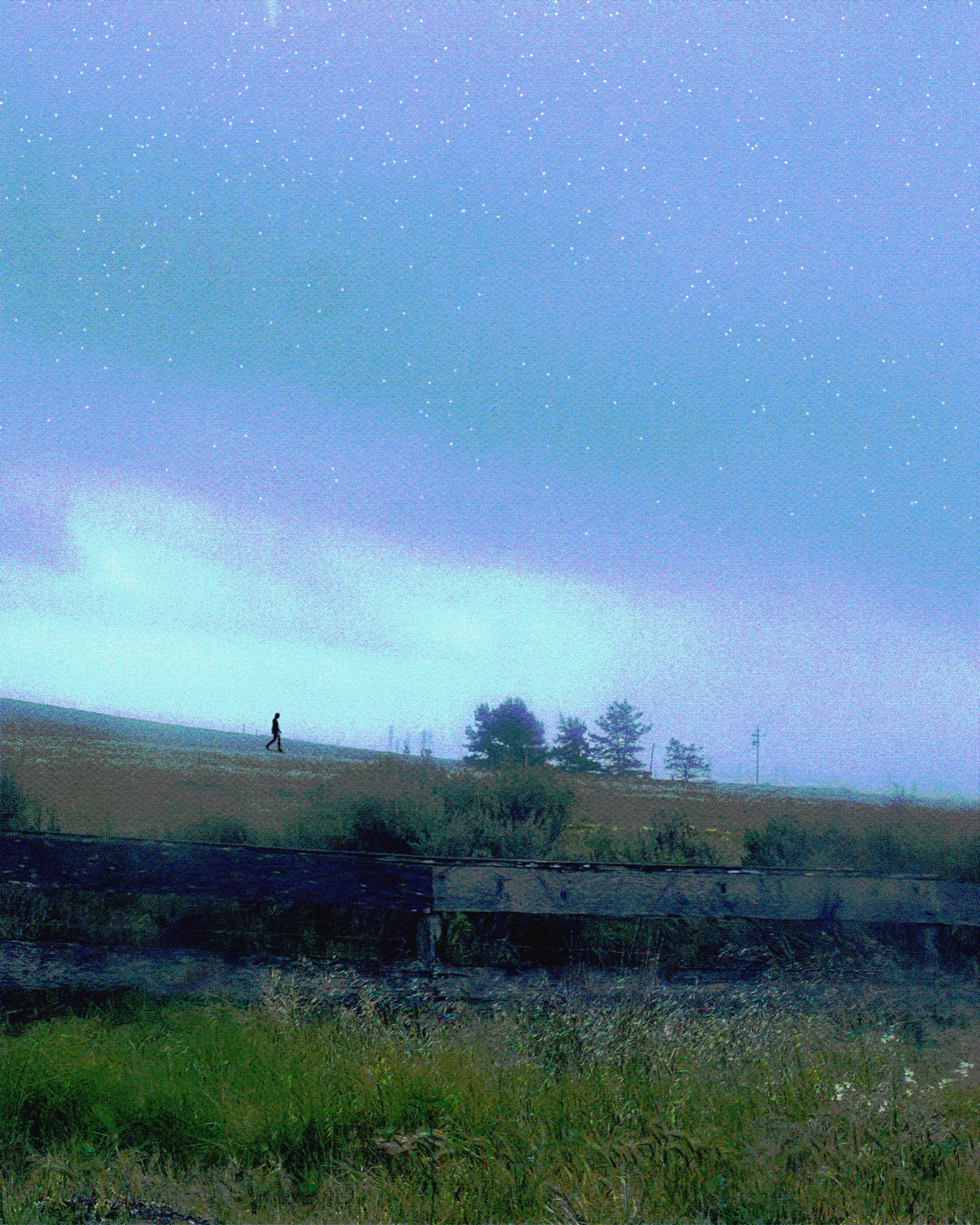 Field of Dreams 