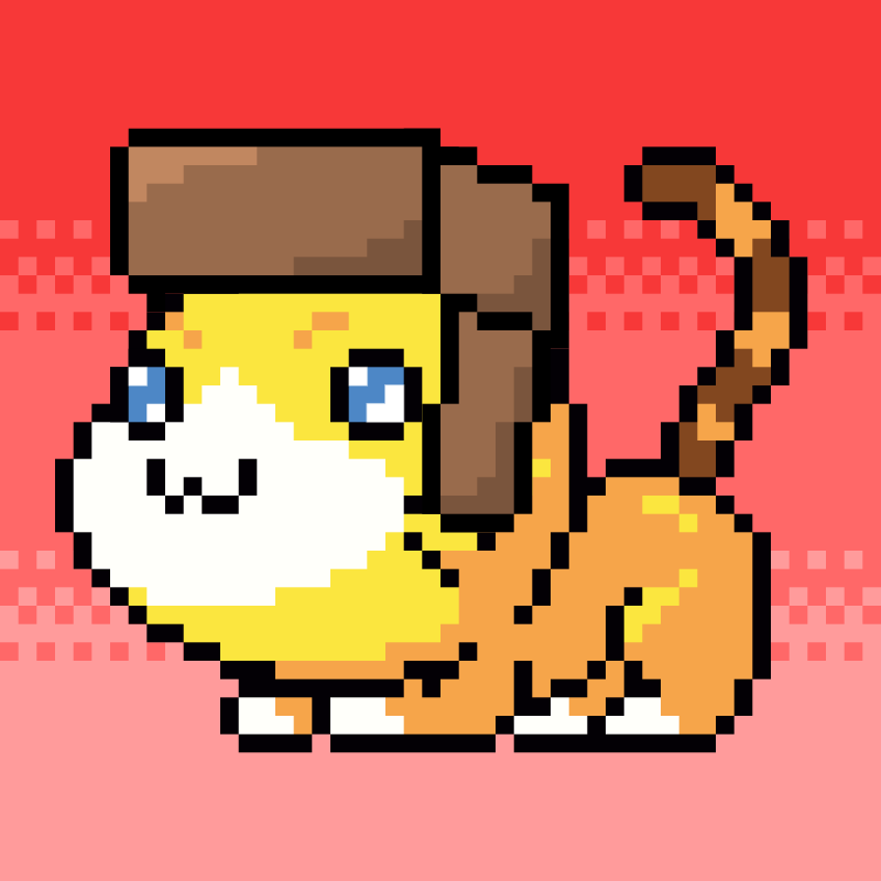 Catxoxo #2201