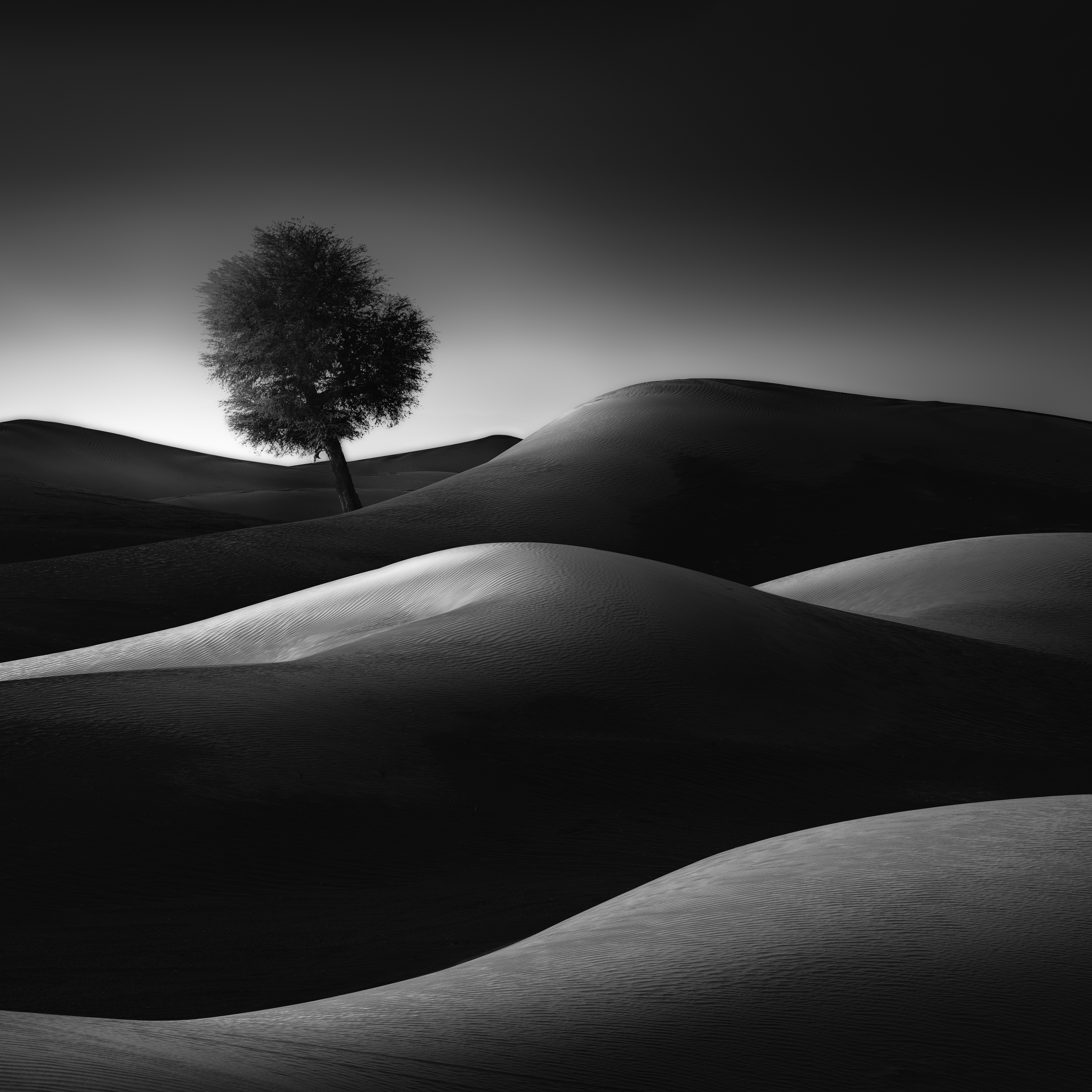 In To The Light  2/24