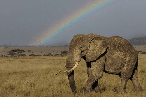 Blessings of nature