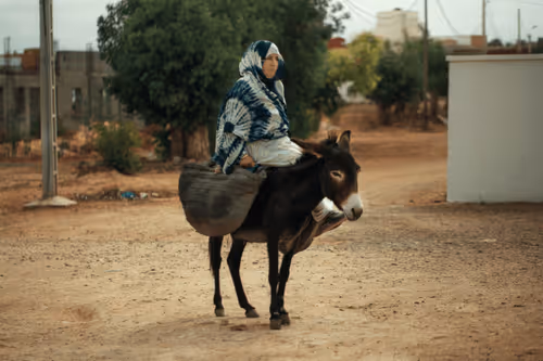 Amazigh Land #22