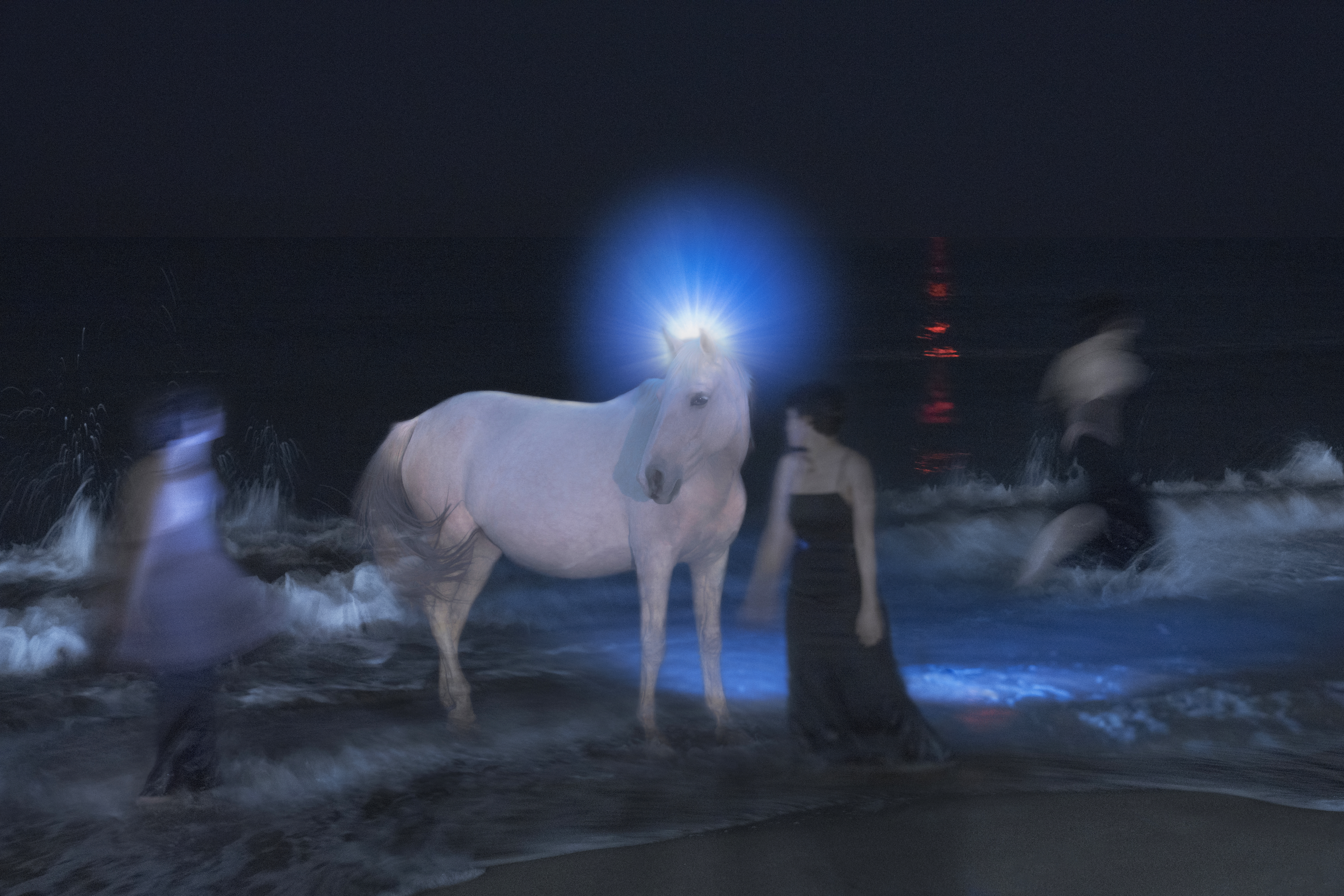 that white Horse was shot