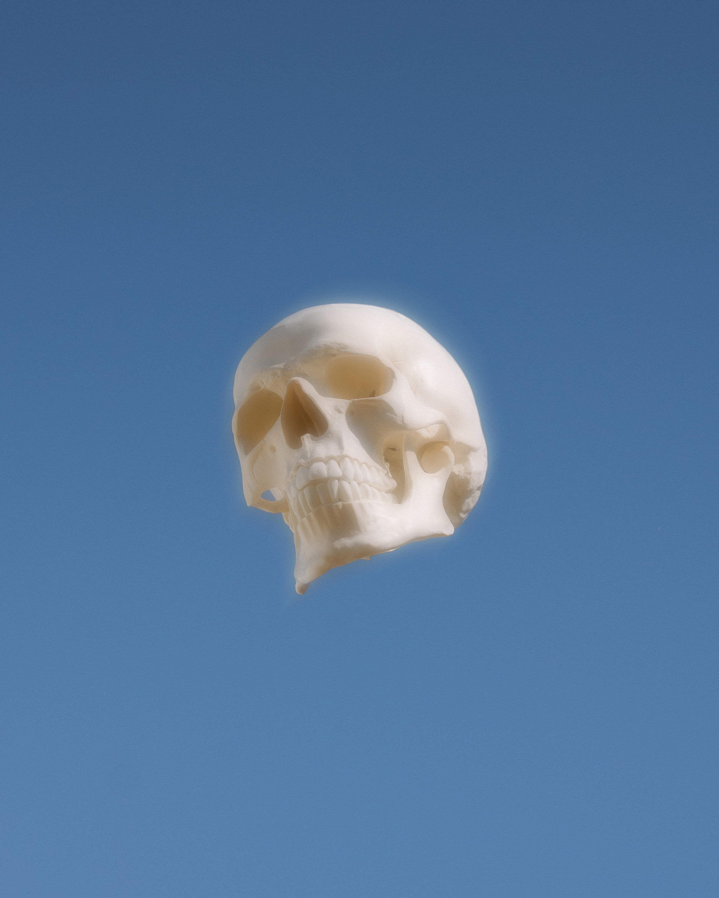 Bonehead