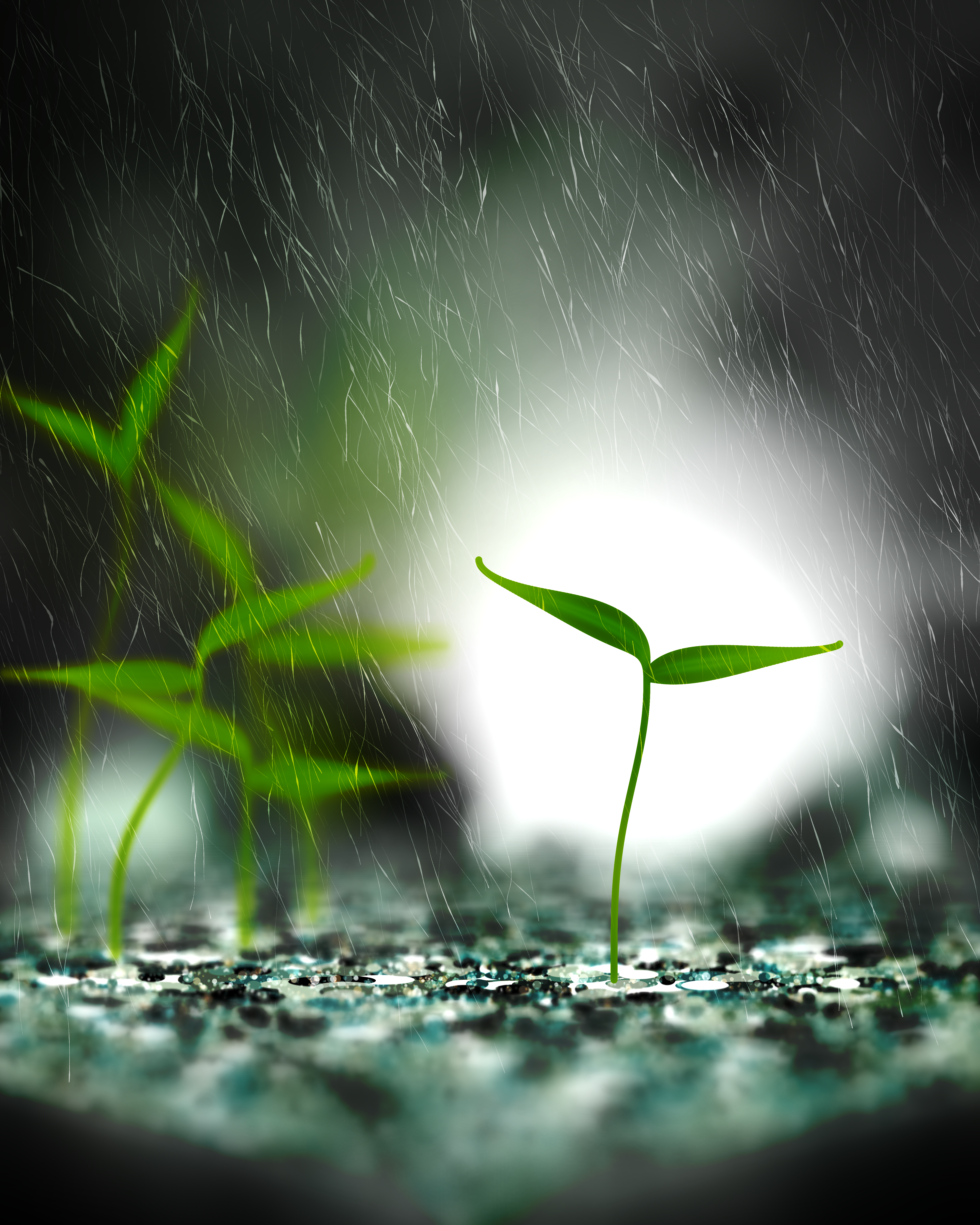 Take Root #3