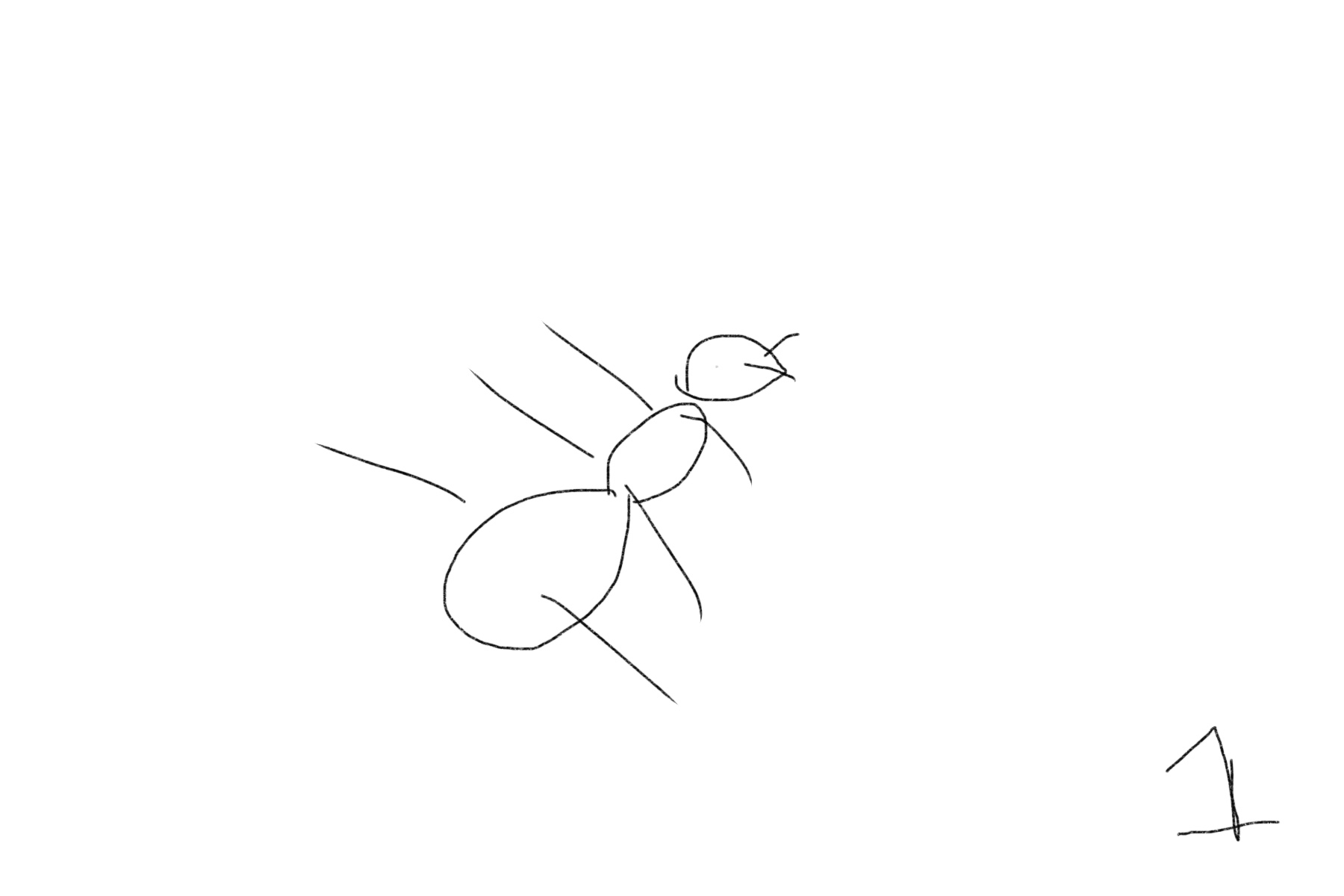 ant