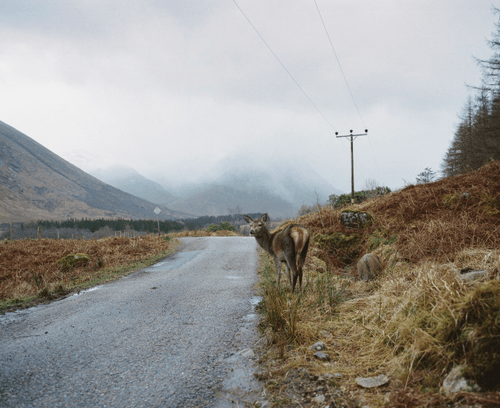 The Road Less Traveled: Undisturbed