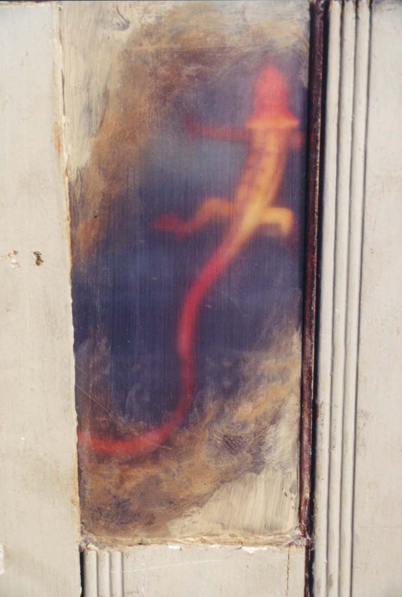 Lizard in the Wall