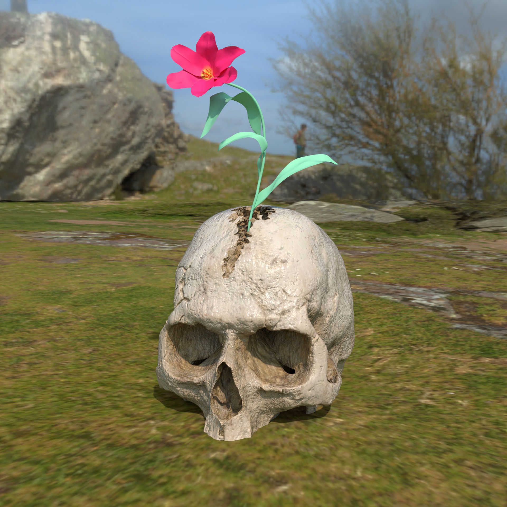 "Where Death Rests" Bidders' Edition