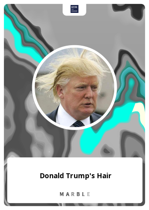 Donald Trump's Hair
