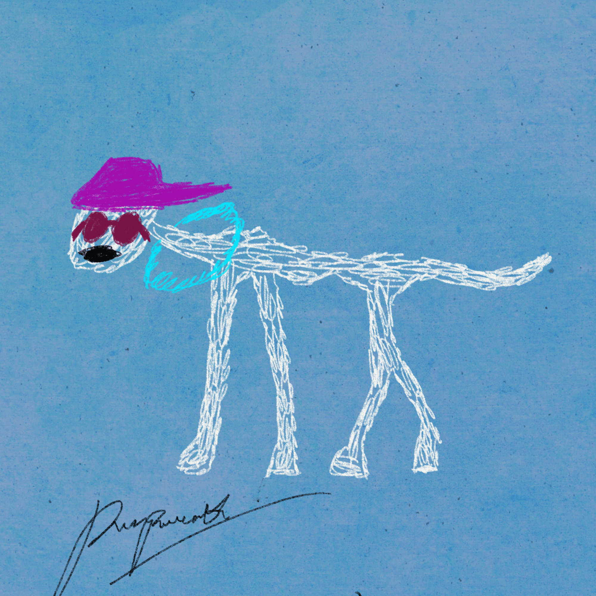 Pettametti #120