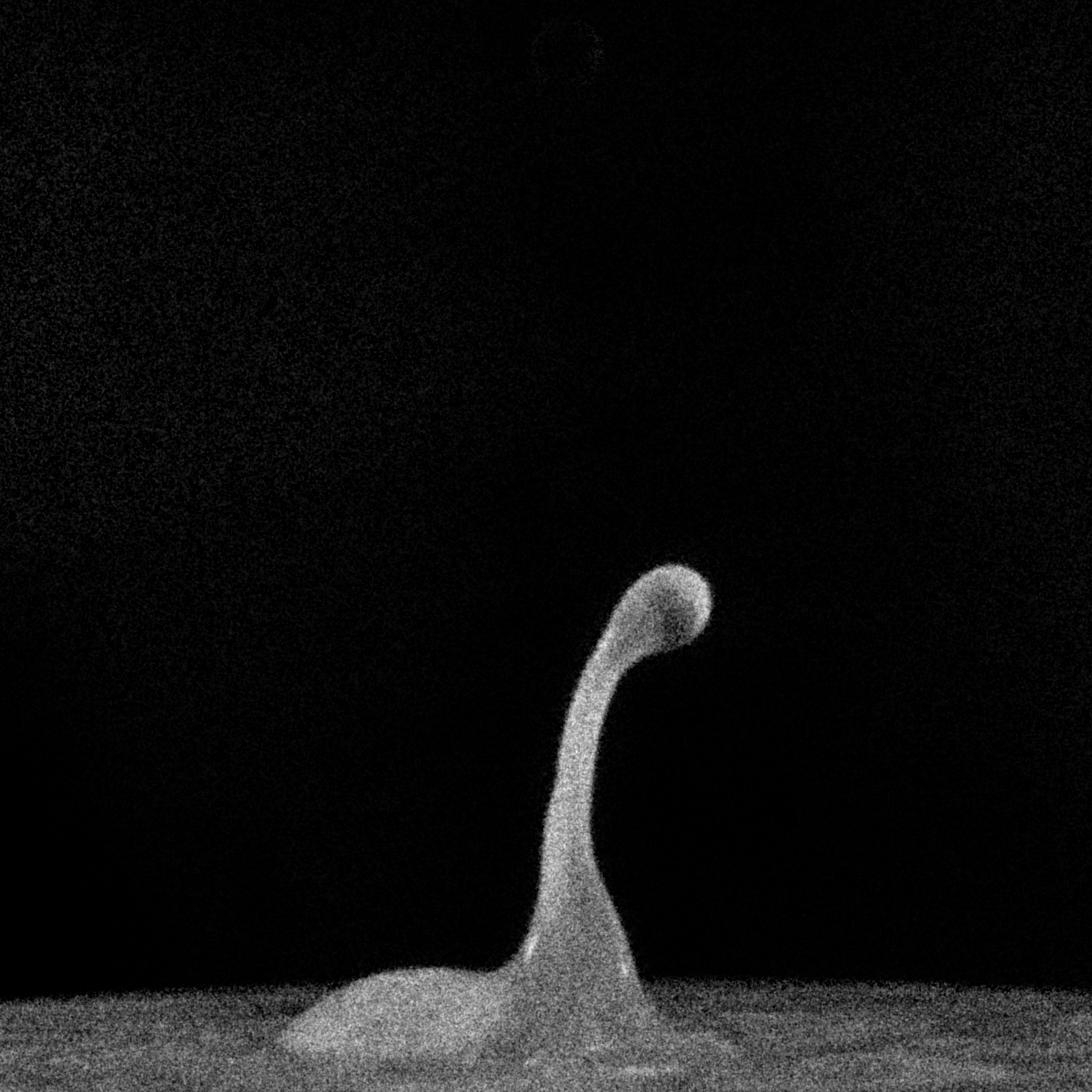 Splash of Nessie