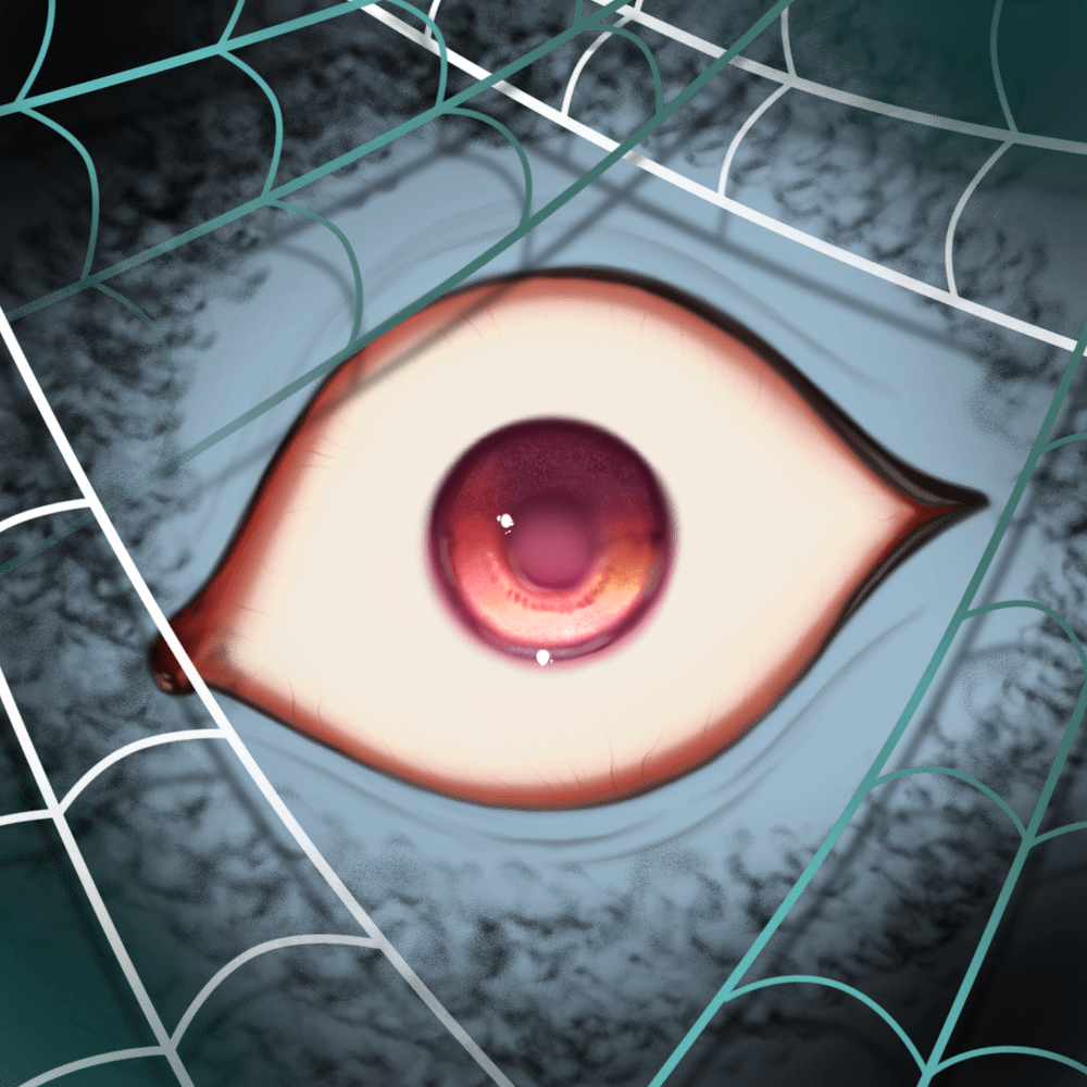 WATCHER #2437