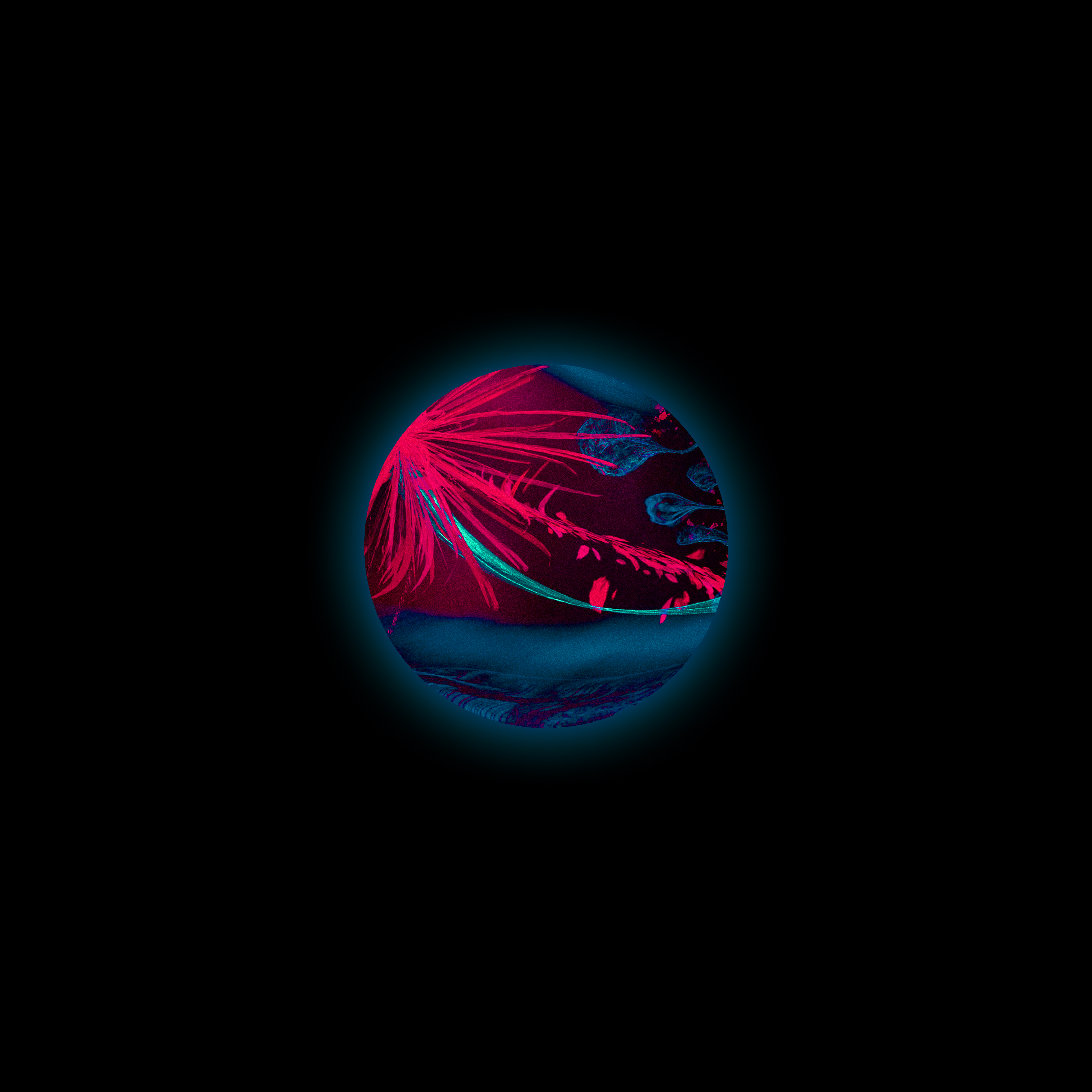 S001_0015