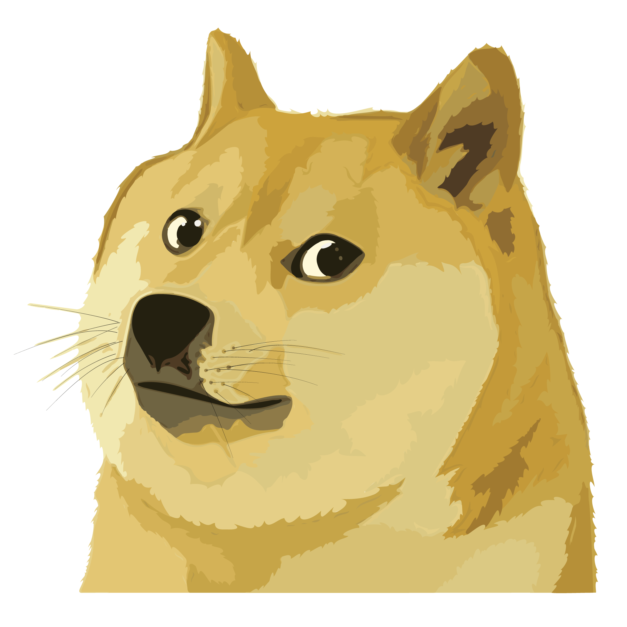 DOGE