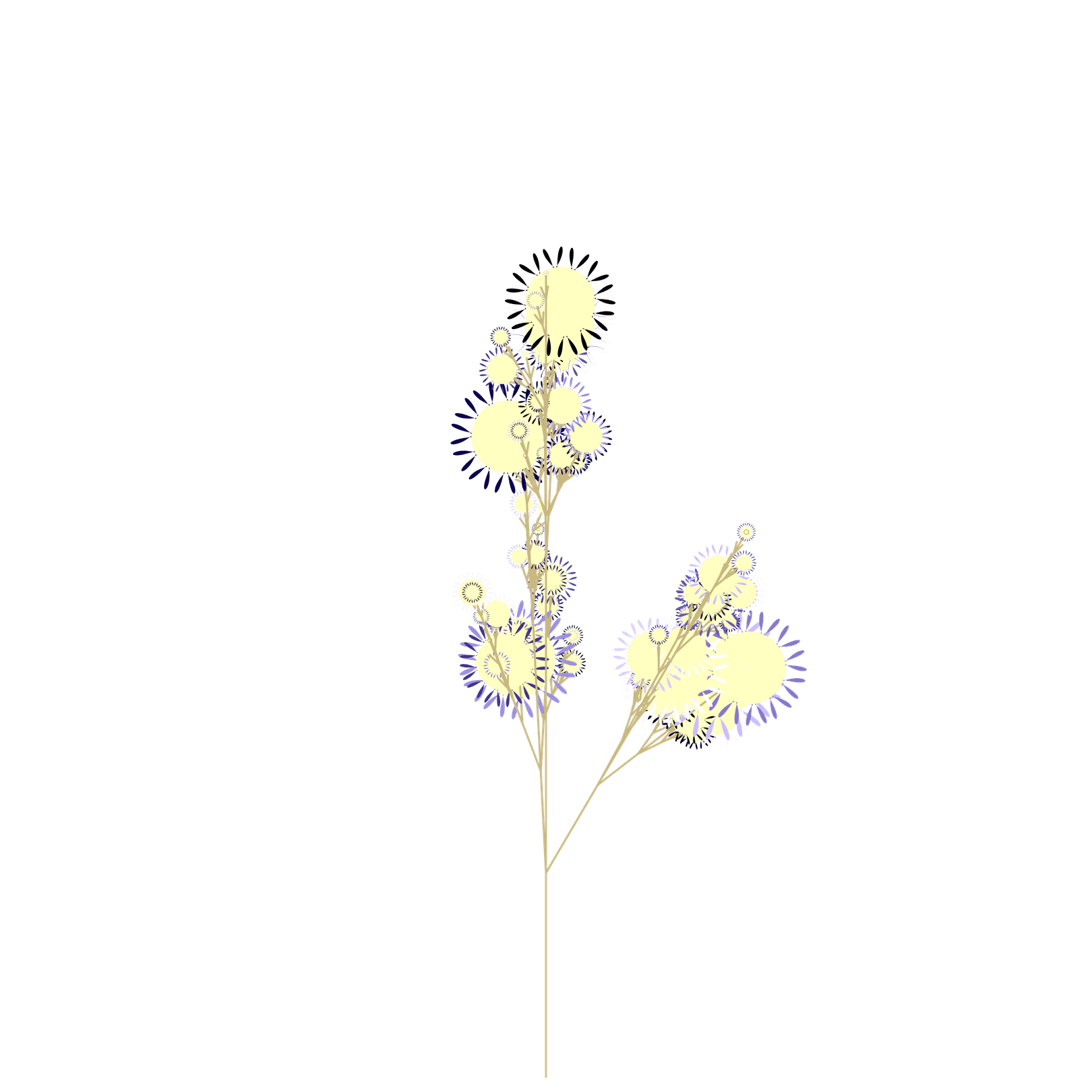 Death's Clove