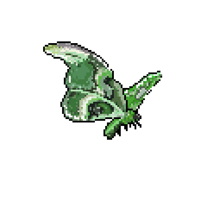 Moth