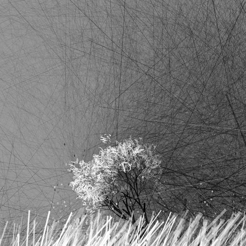 Conversation with the wind Patron Edition