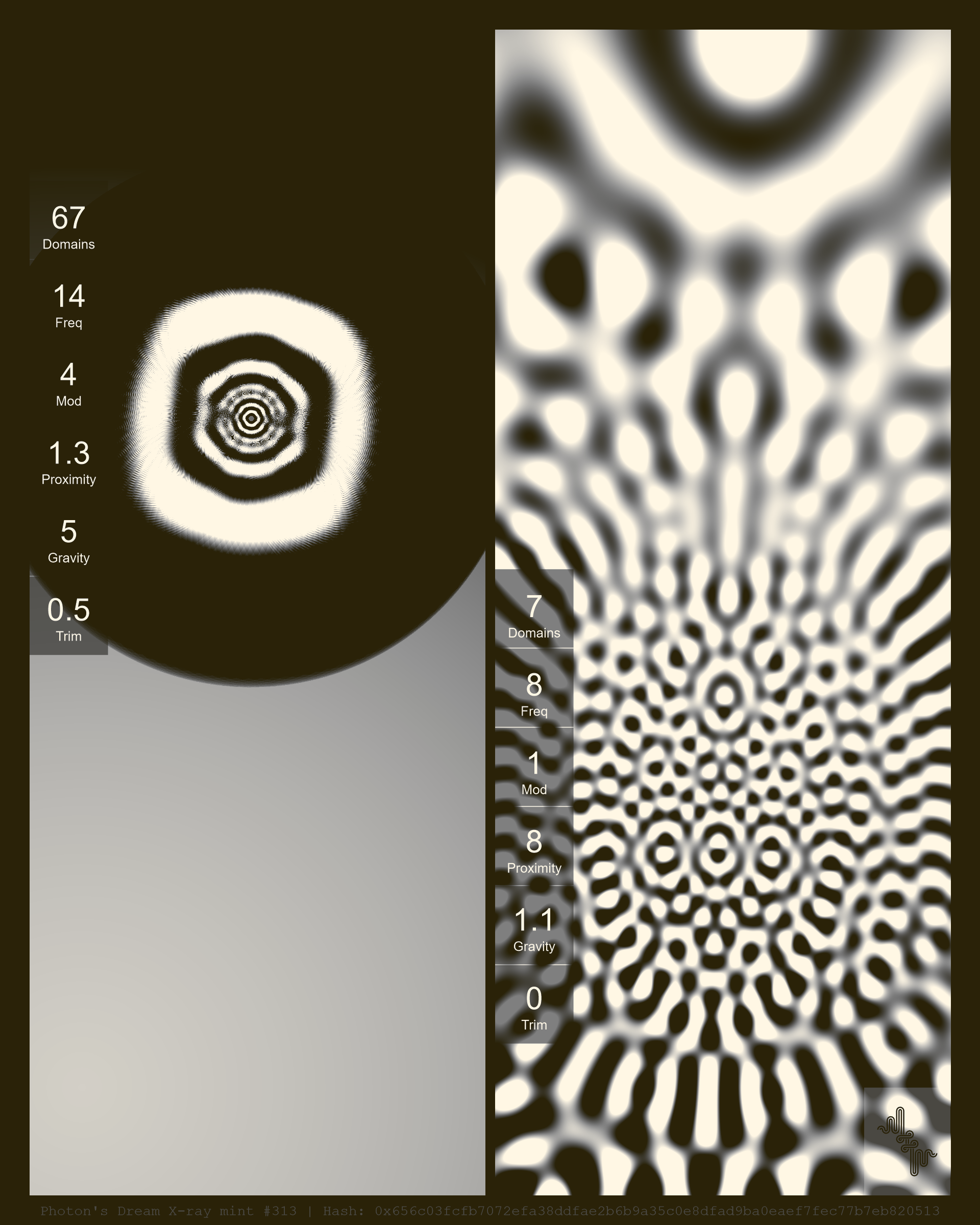 Photon's Dream X-ray mint#313