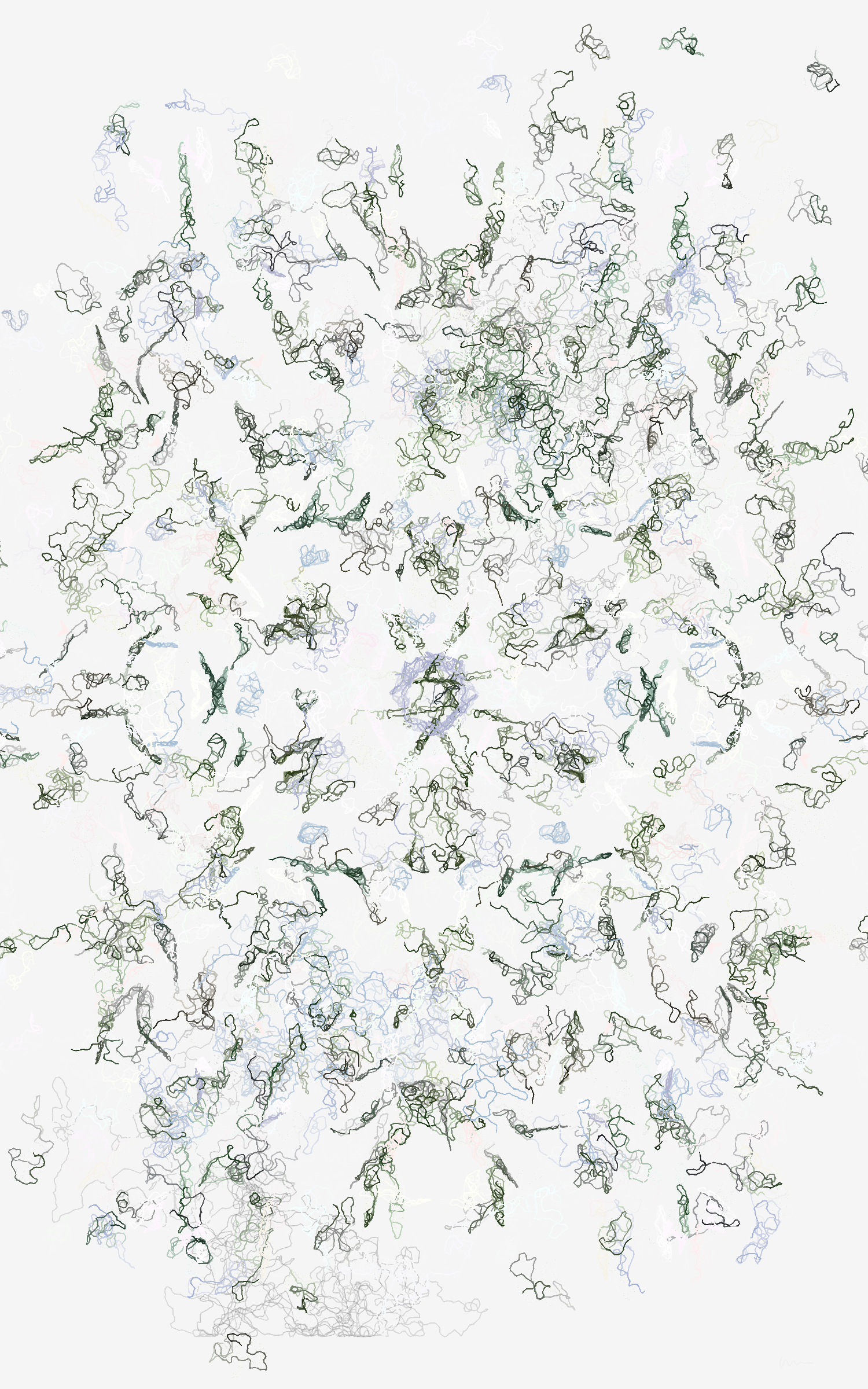Orchids #369