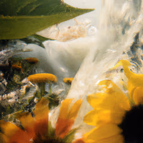 Tsunflower Chaos #73