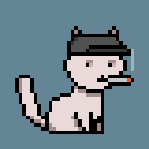 PunkCat #1665