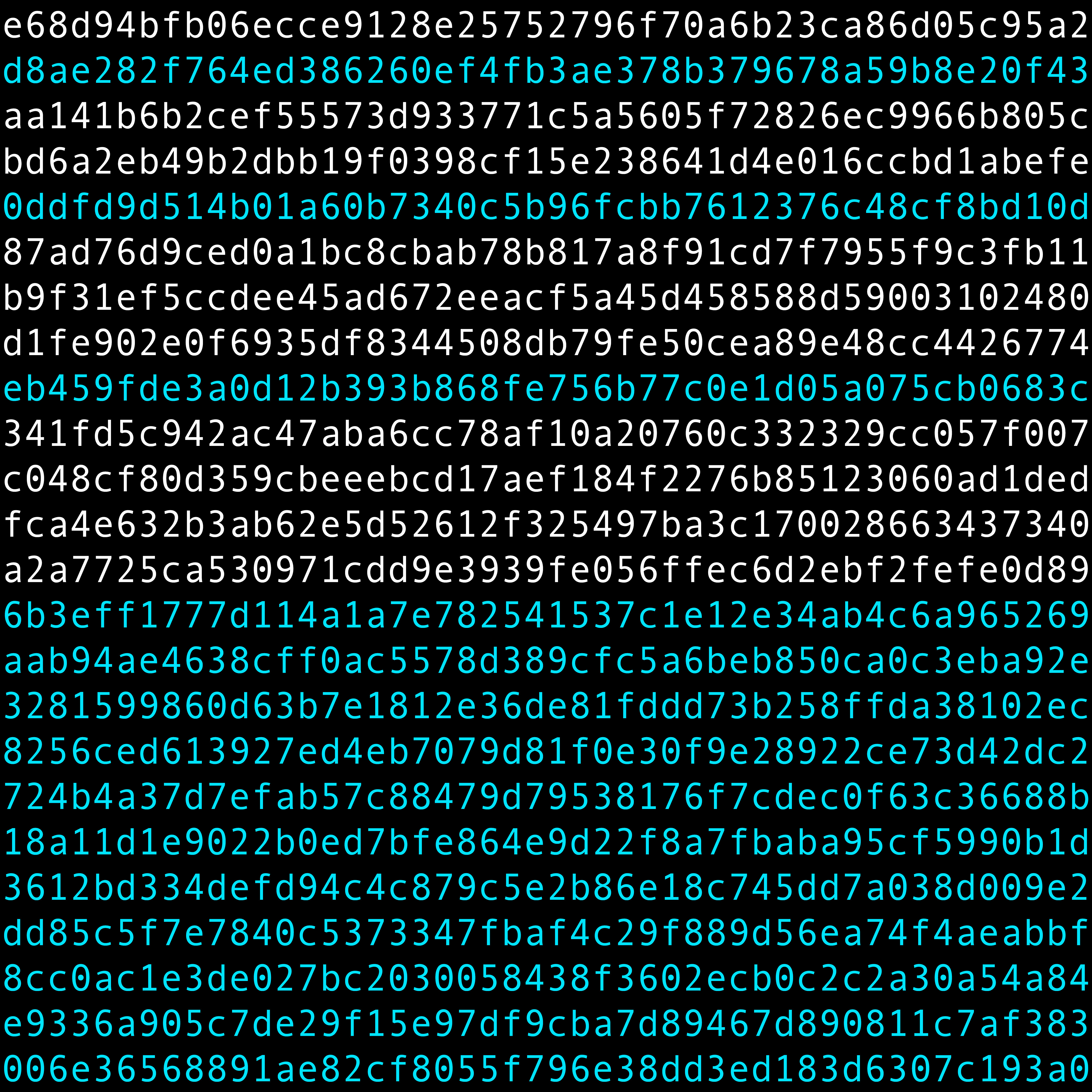 1111 #0019