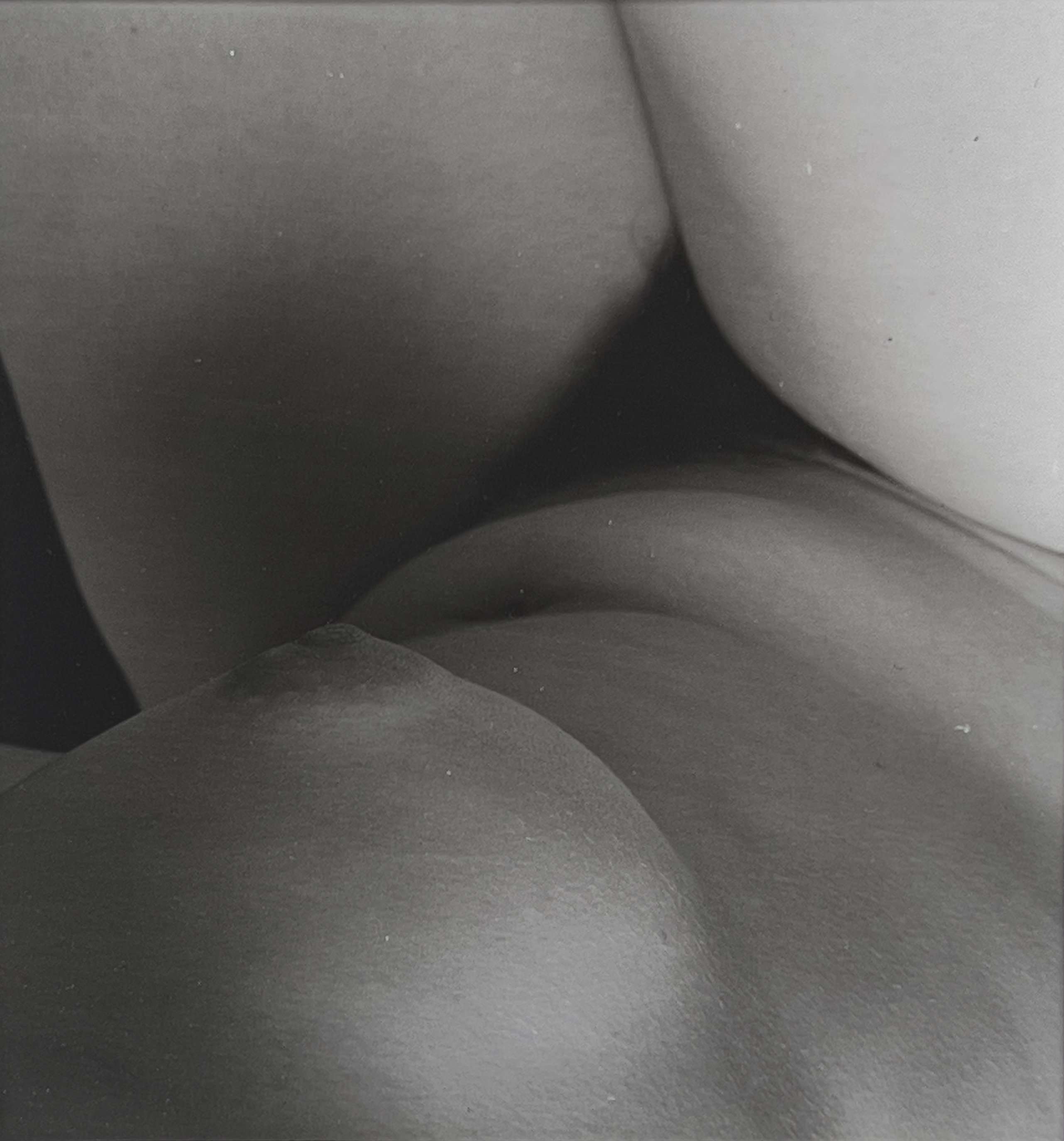 NudeScape 09